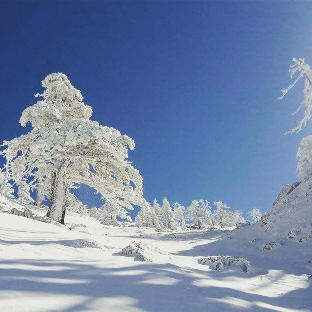 Natural landscape in Il Vicoletto
