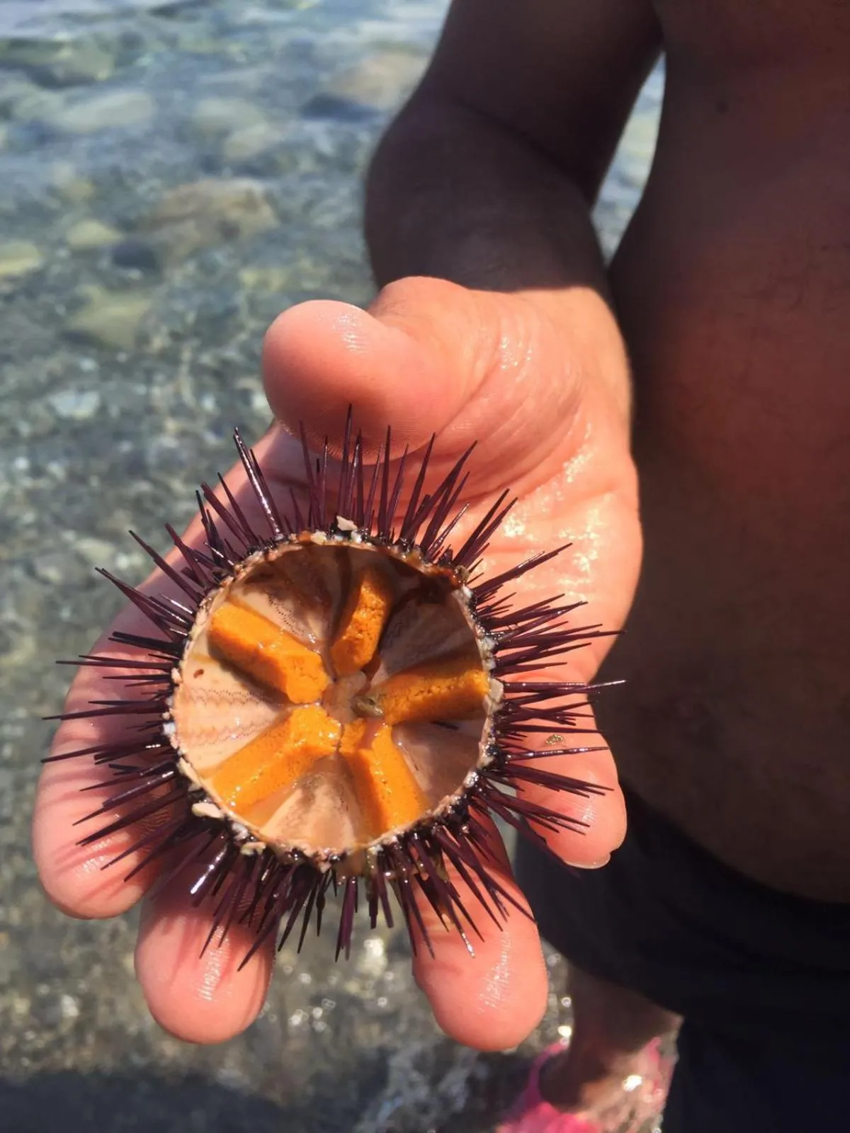 Fishing in Il Vicoletto