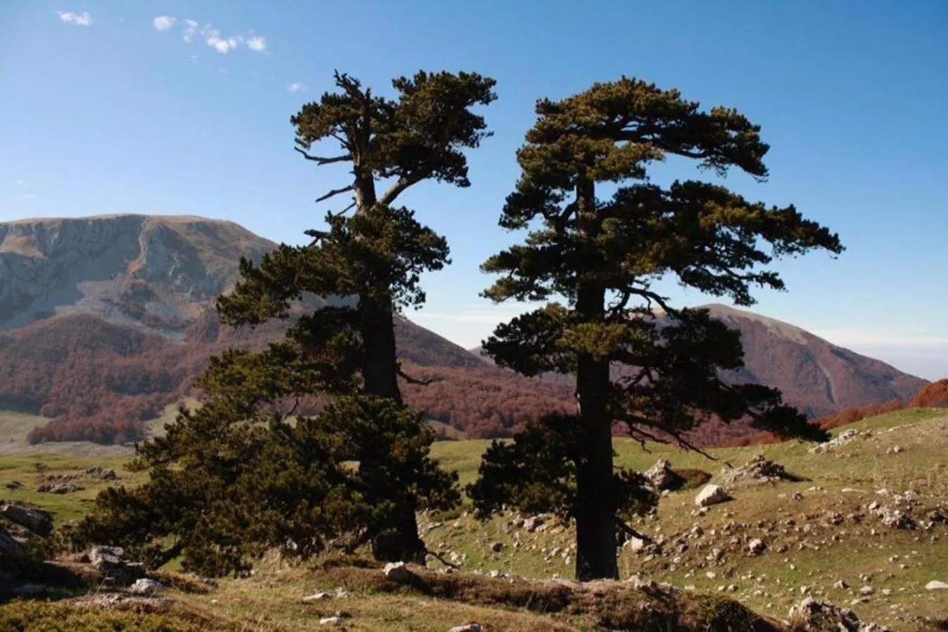Hiking in Il Vicoletto