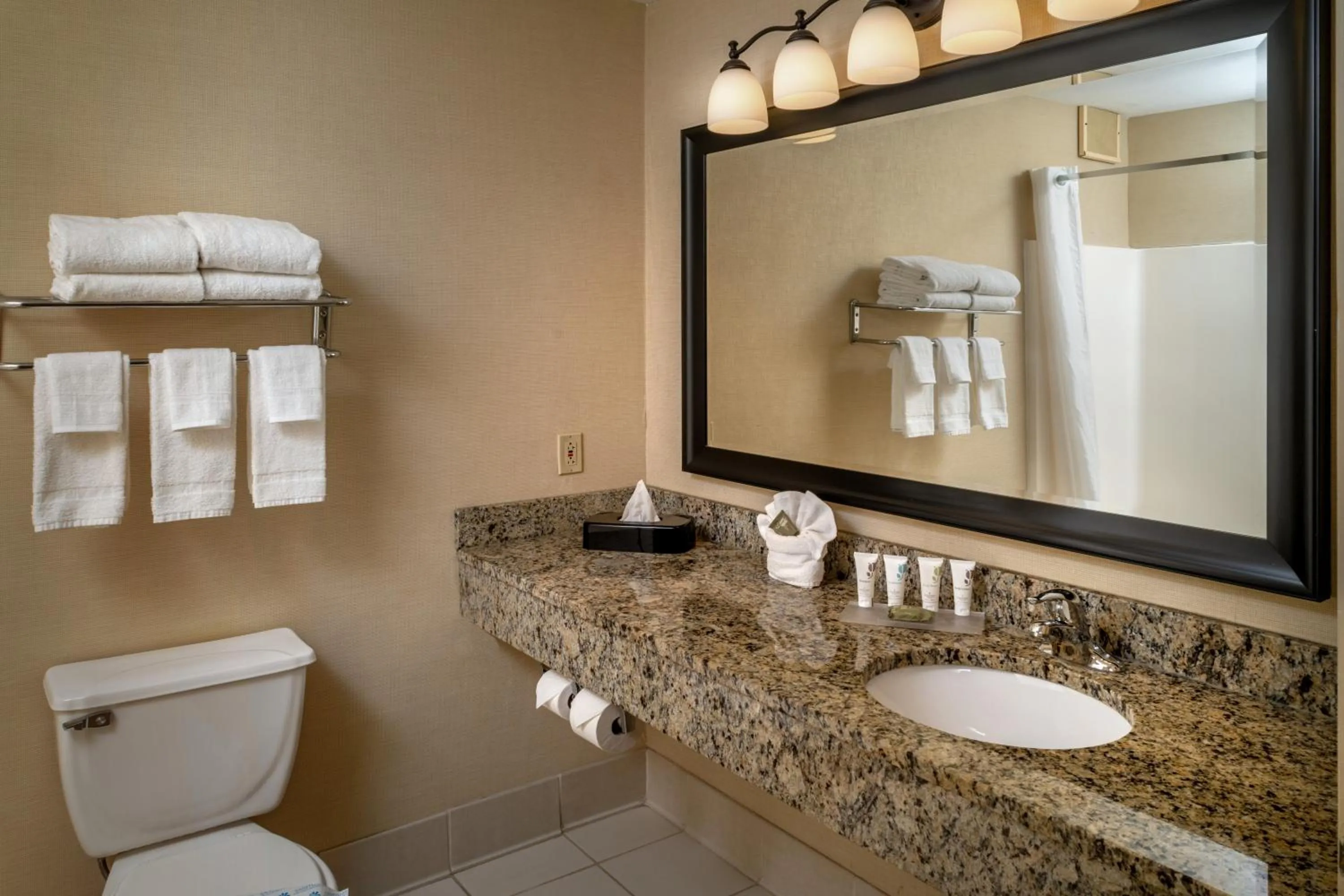Bathroom in Country Inn & Suites By Radisson, Charleston South, WV