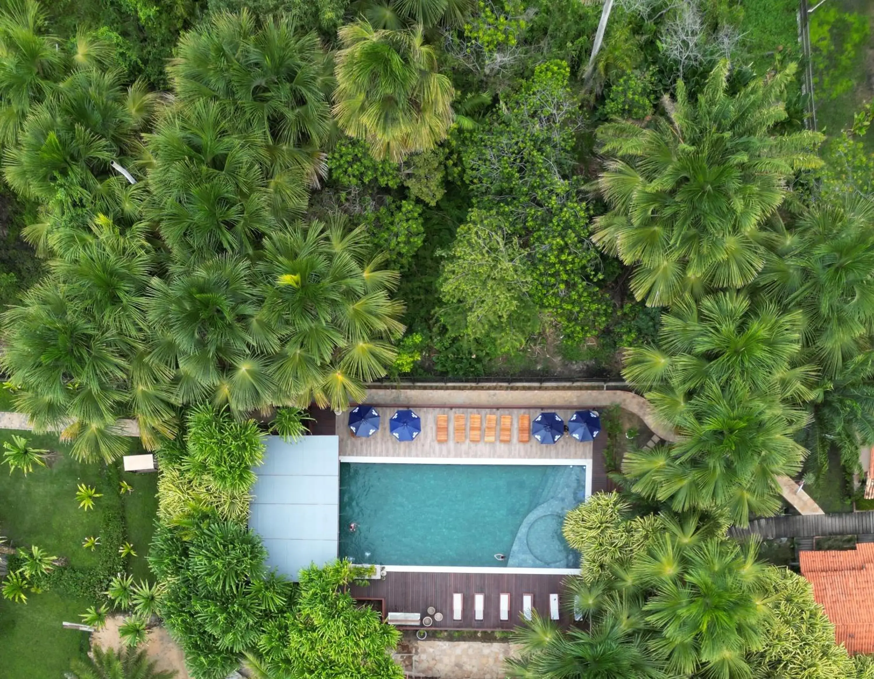 Bird's eye view in Encantes do Nordeste Bird's eye view in Encantes do Nordeste