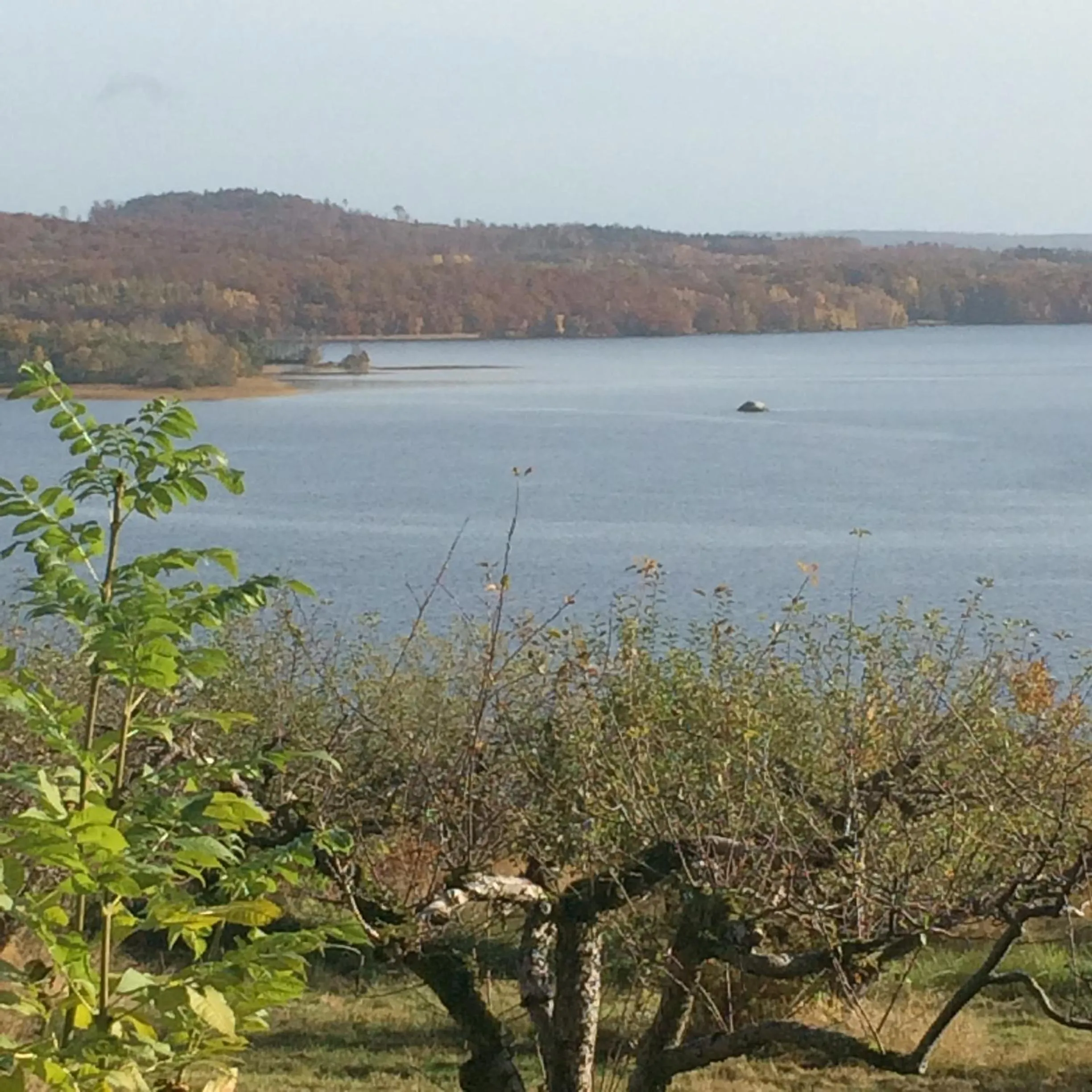 Day in Vånga Hostel