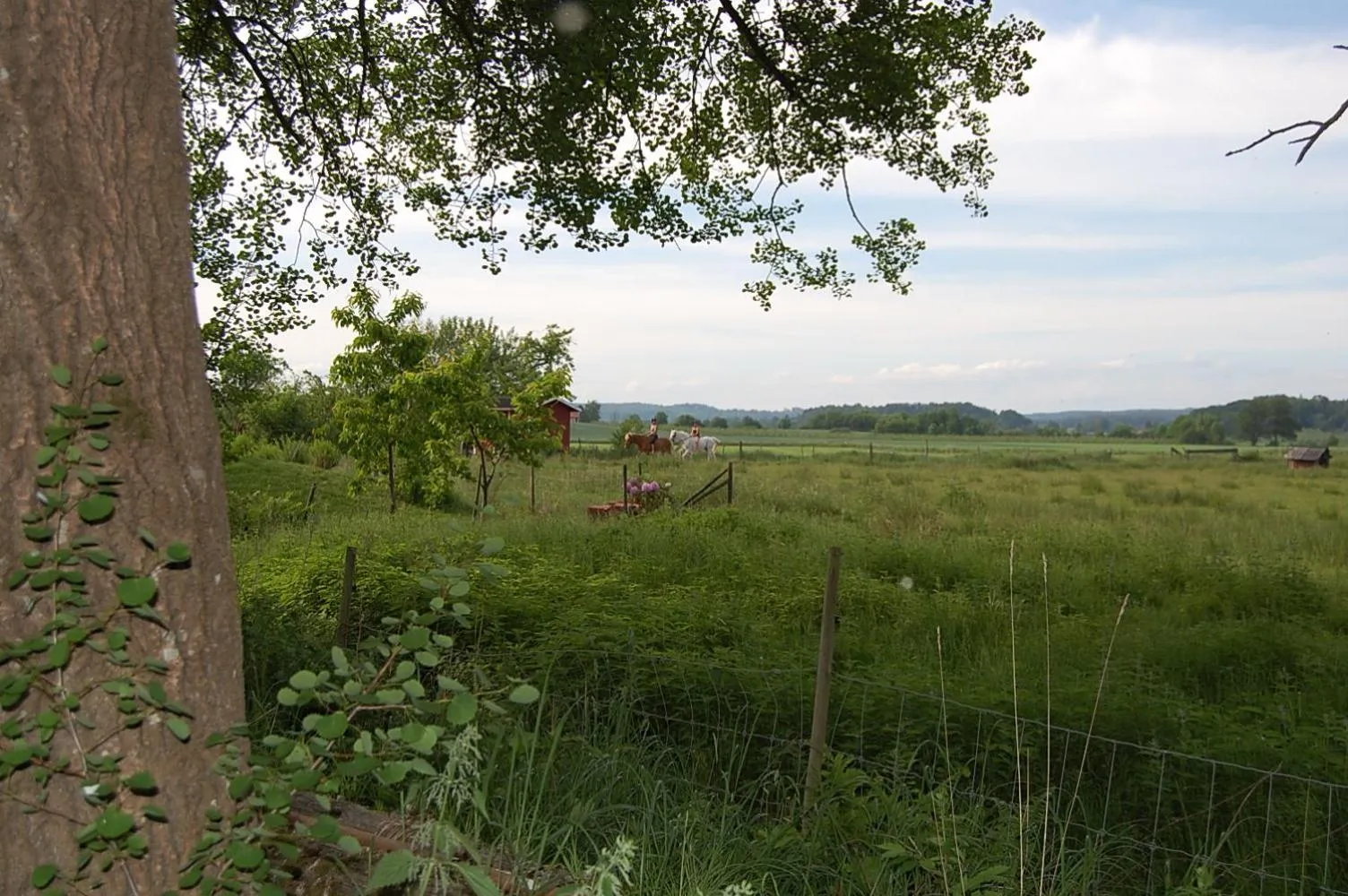 Natural landscape in Vånga Hostel