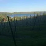 Natural landscape in Vånga Hostel