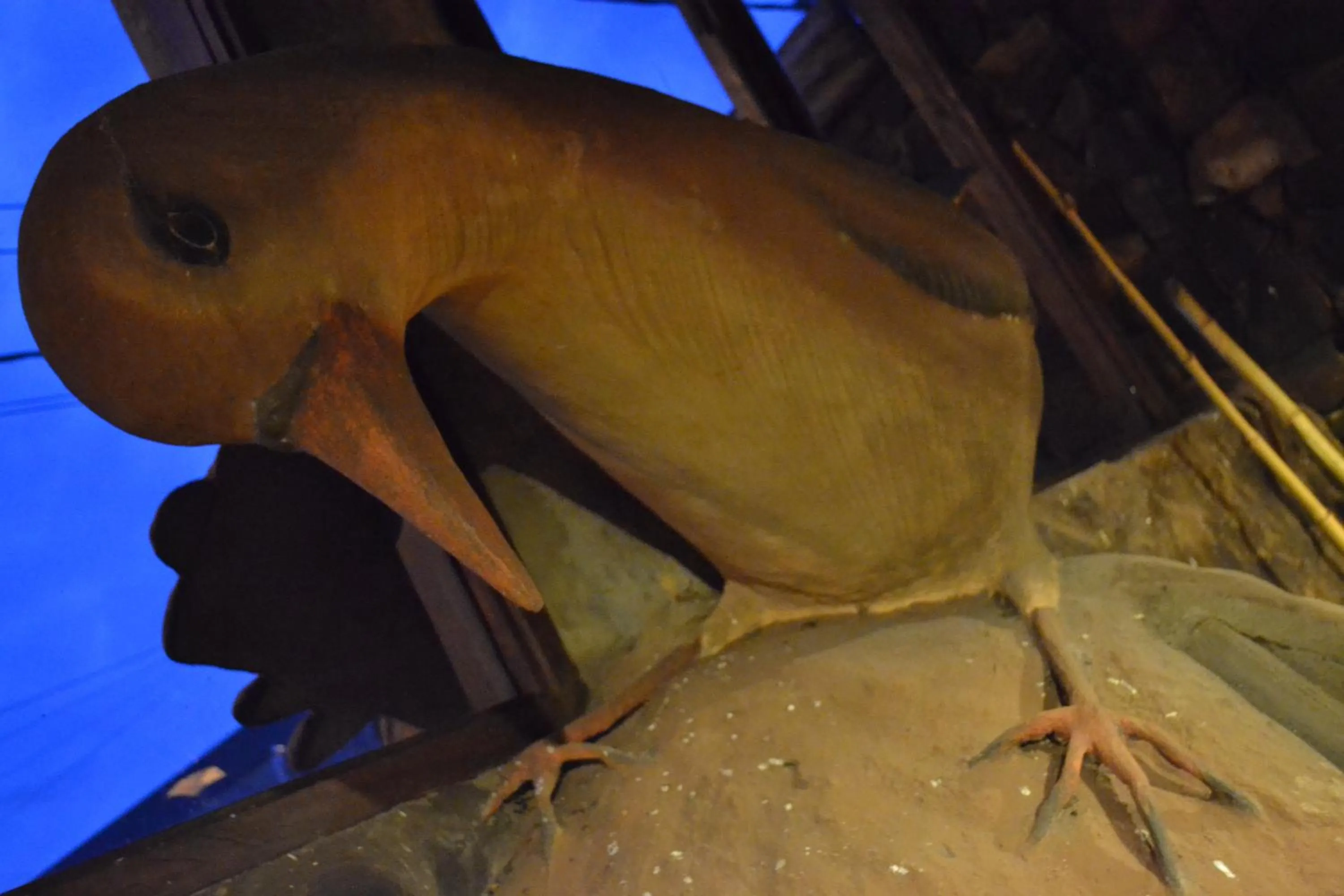 Decorative detail in Passaros Suite Hotel