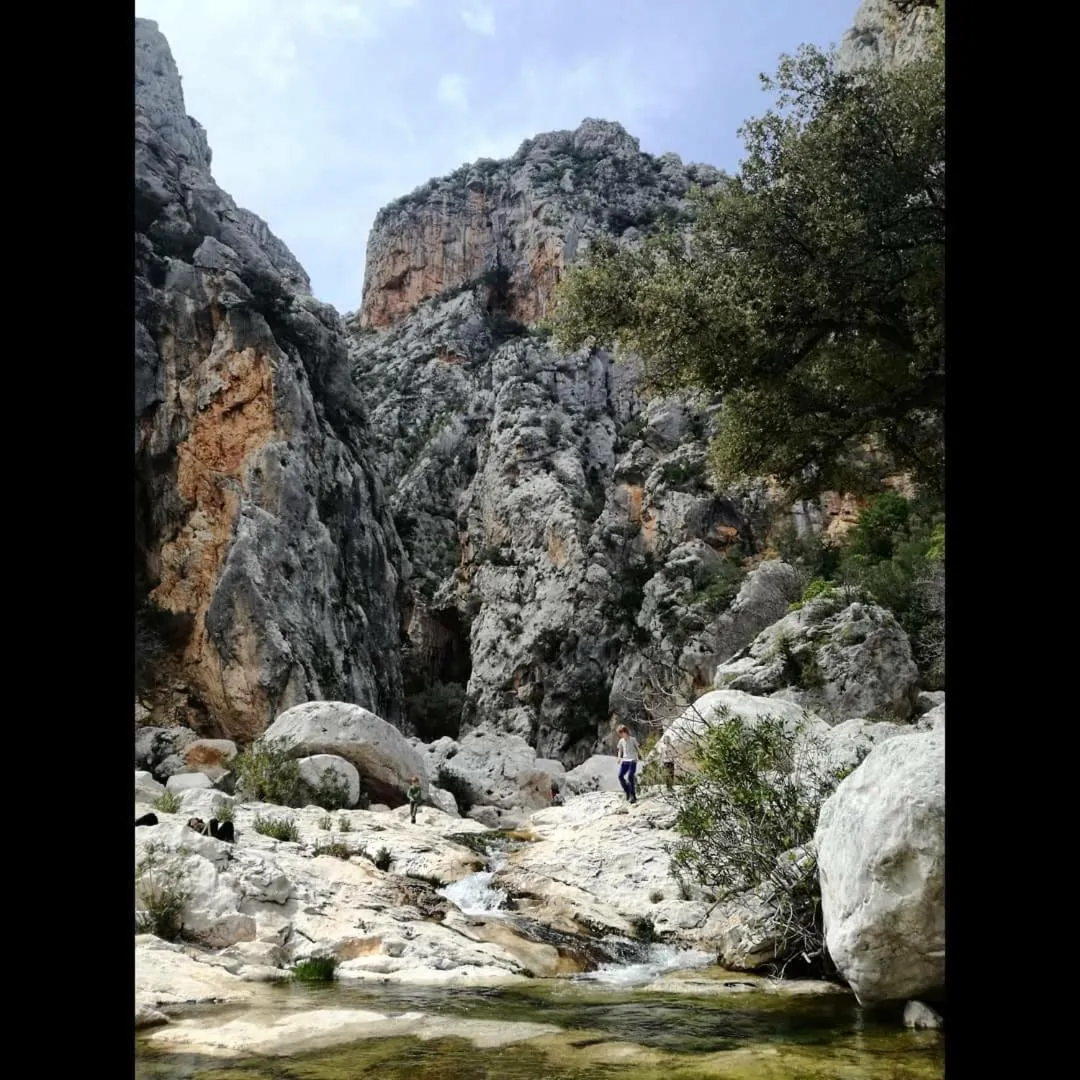 Text overlay in B&B Partaitria