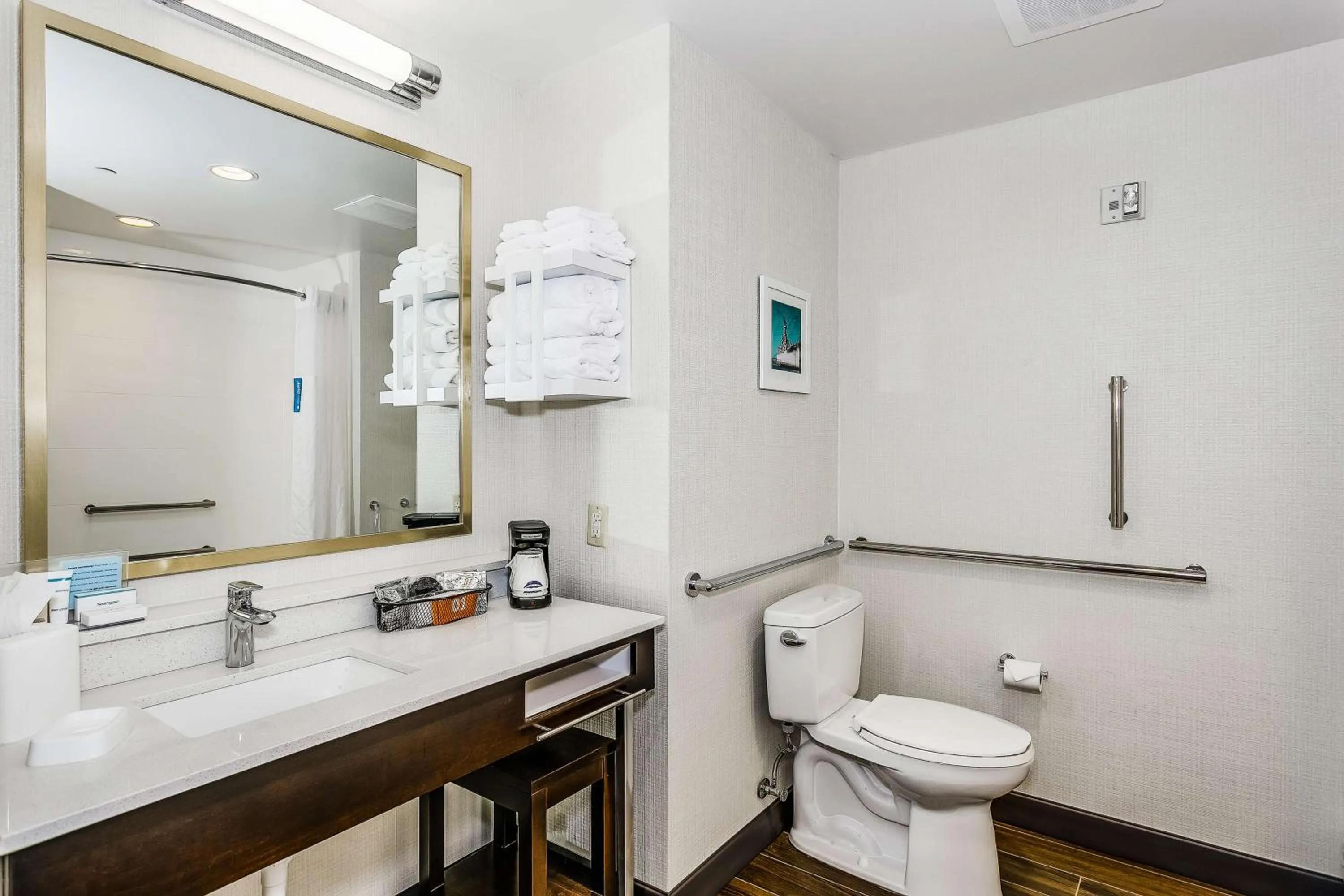 Bathroom in Hampton Inn & Suites Mobile - Downtown Historic District
