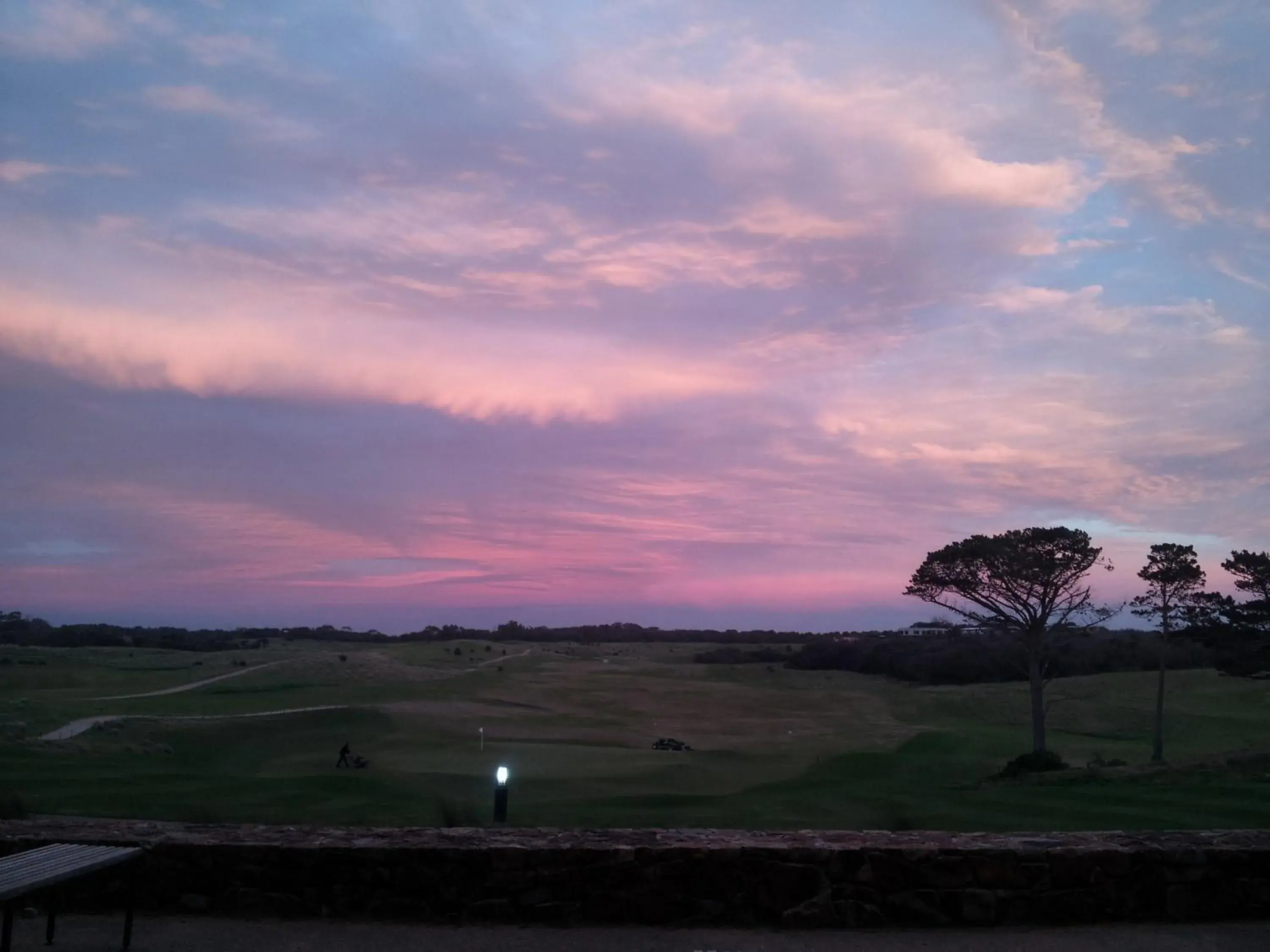 View (from property/room) in Peppers Moonah Links Resort View (from property/room) in Peppers Moonah Links Resort