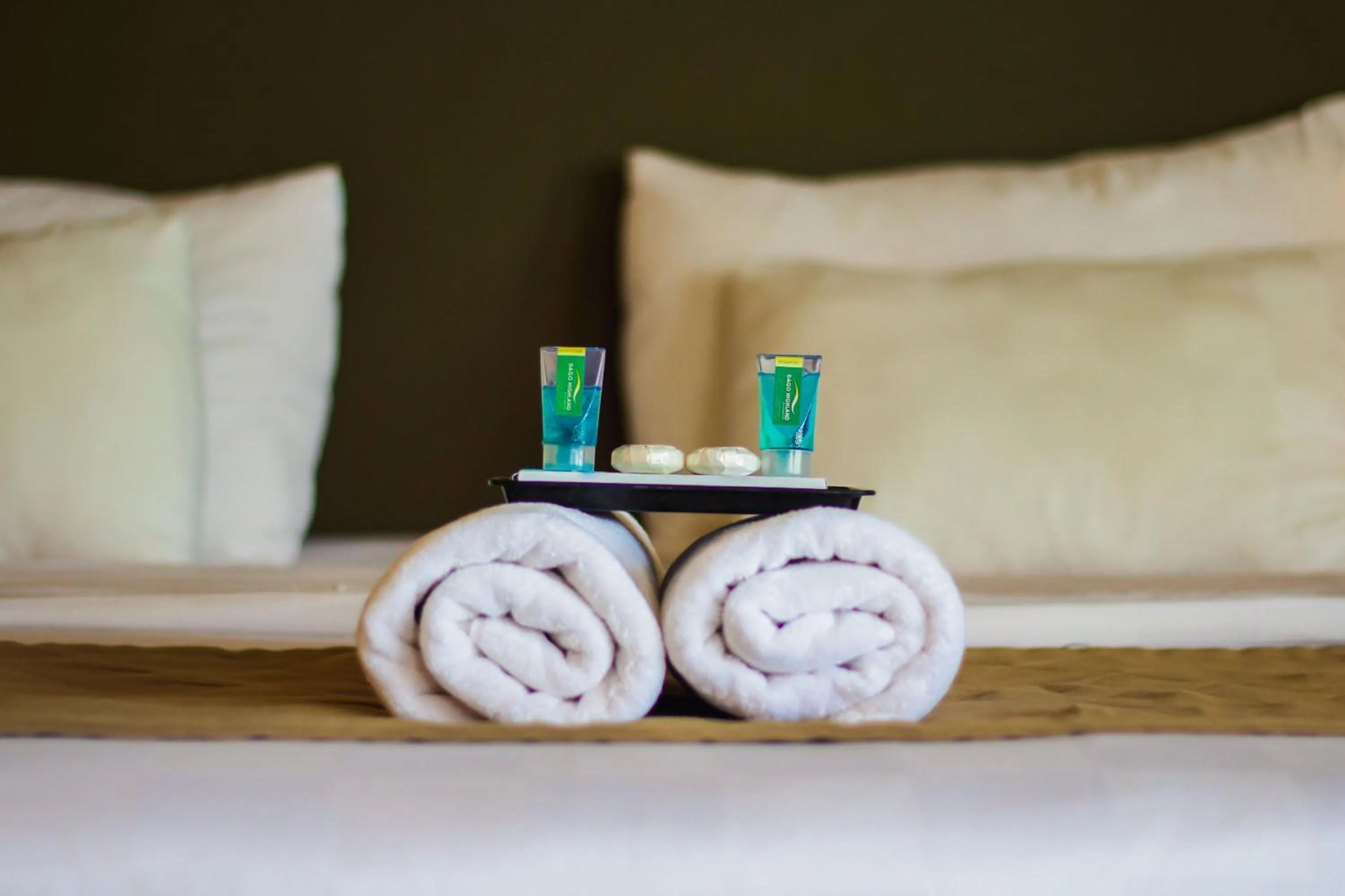 Decorative detail in Dago Highland Resort