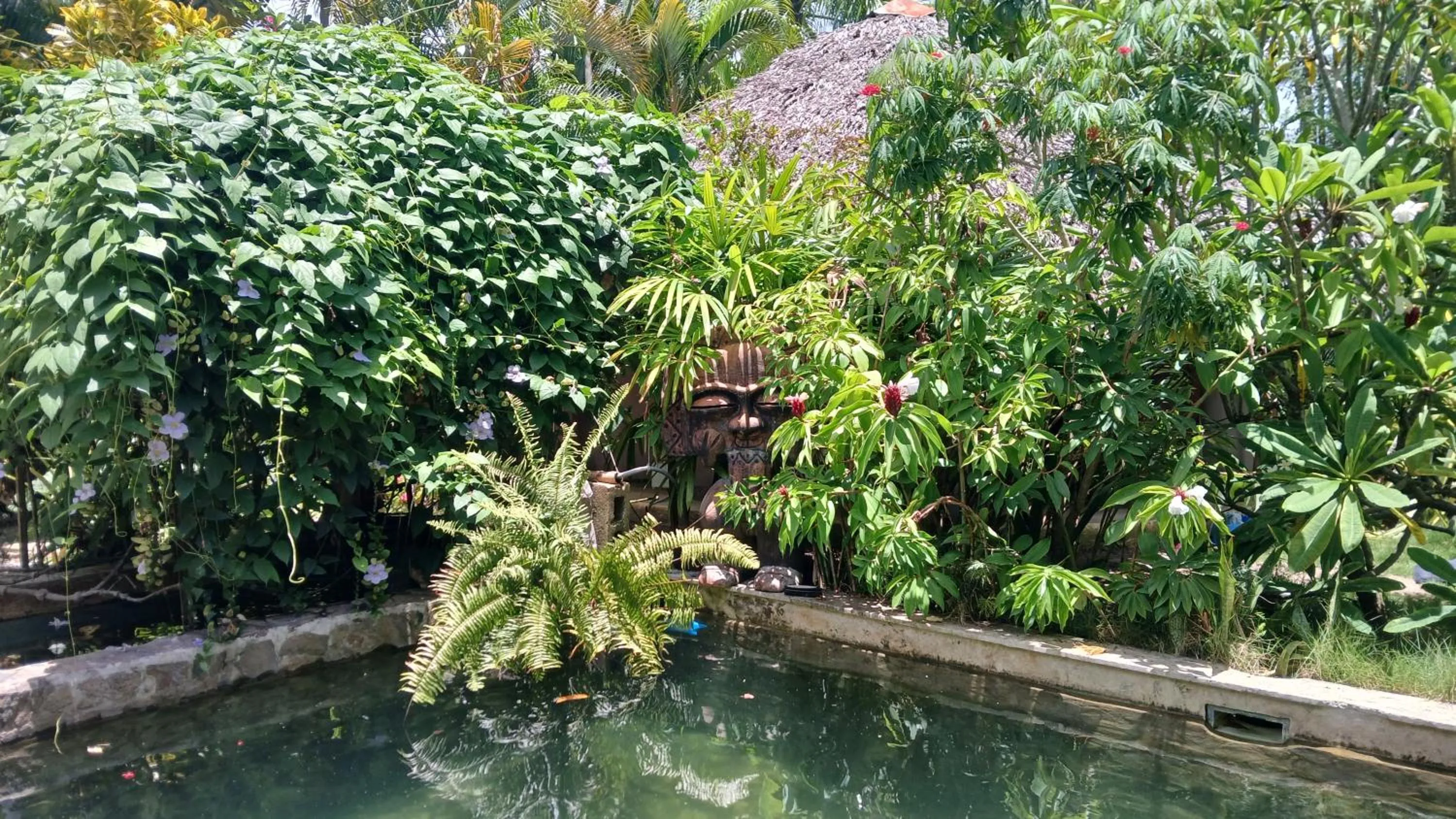Pool view in Casa Picaflor B&B