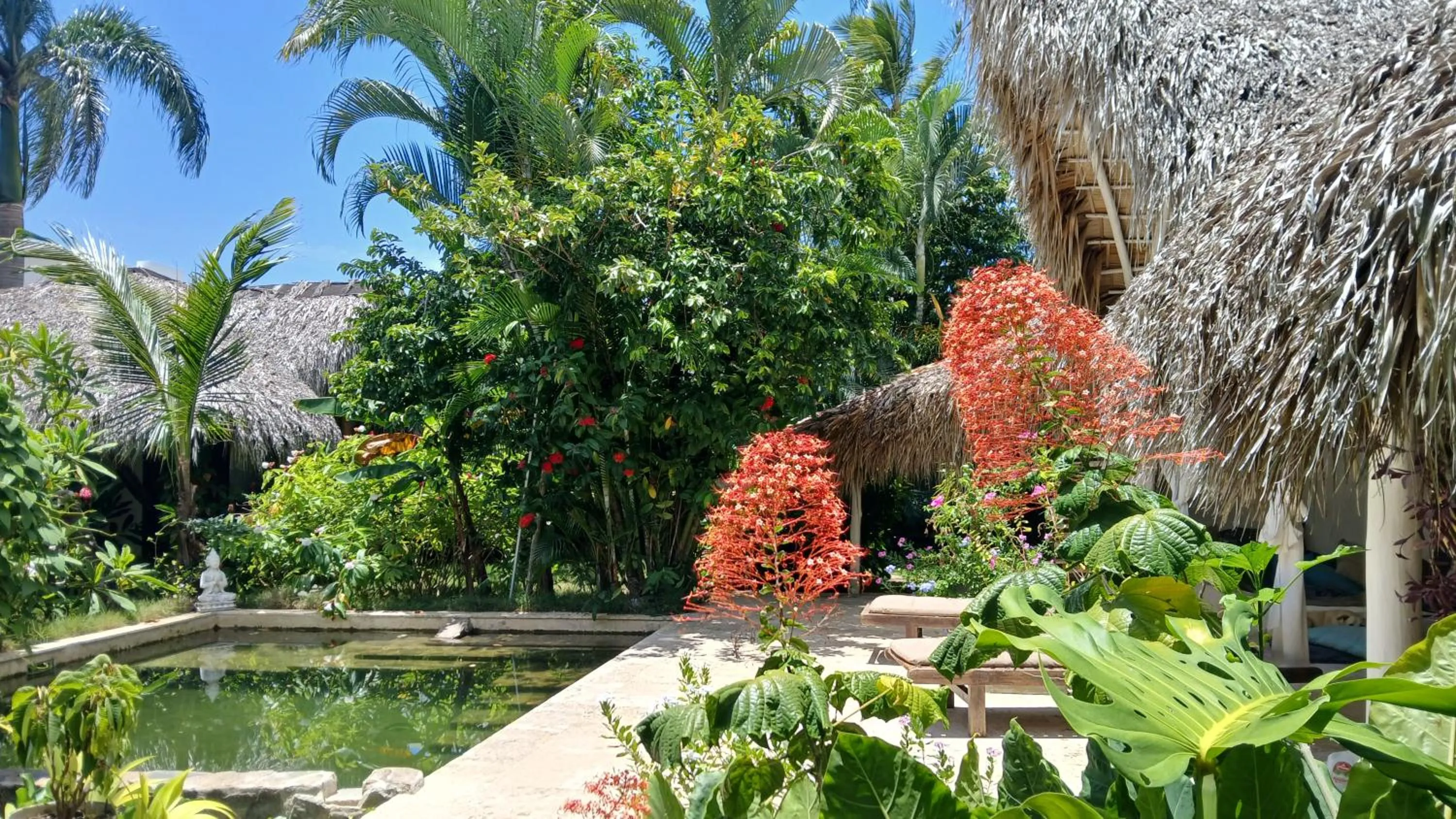 Garden in Casa Picaflor B&B