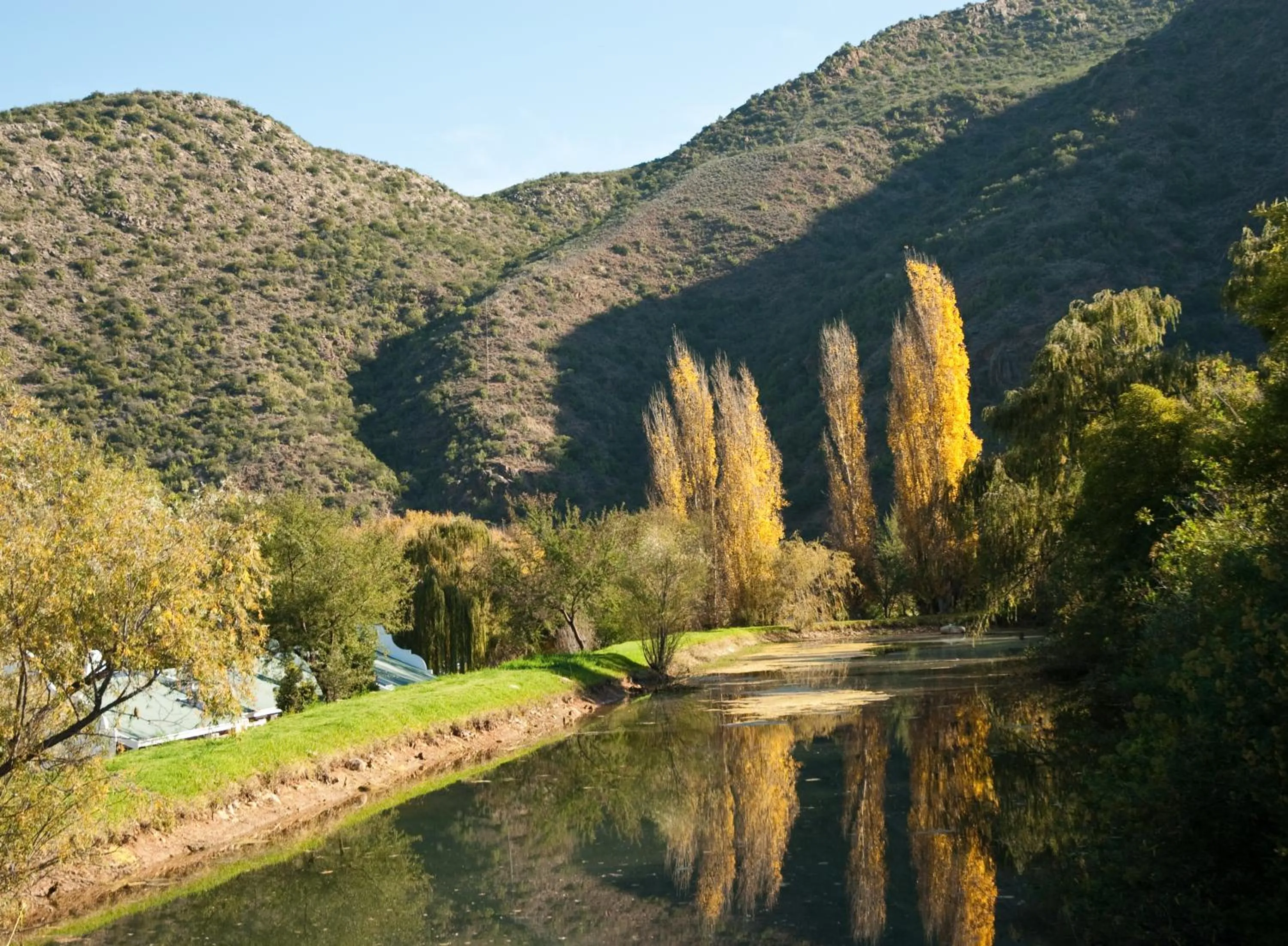 View (from property/room) in Old Mill Lodge, Seasonal Working Ostrich Farm & Restaurant, Oudtshoorn