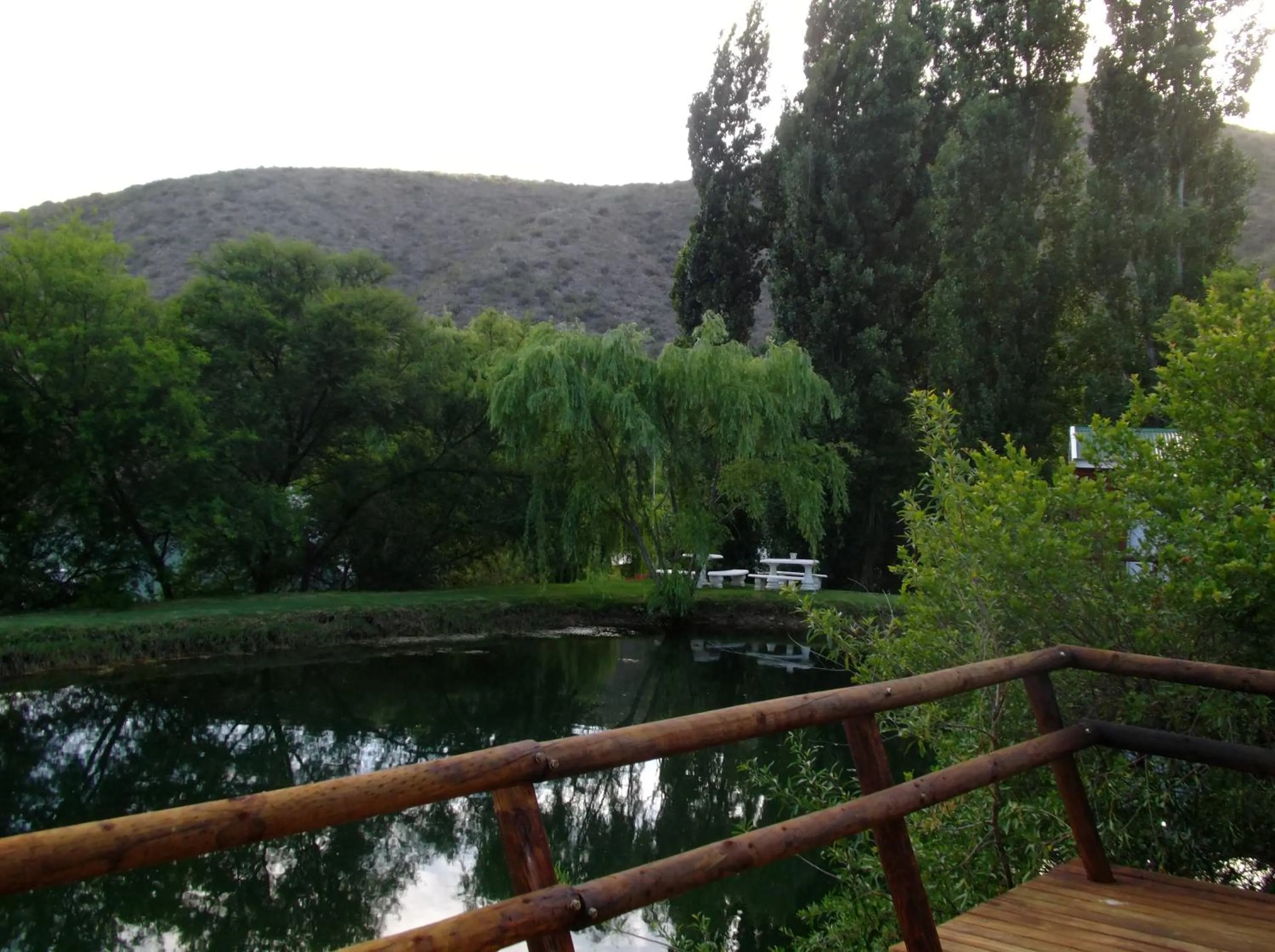 Natural landscape in Old Mill Lodge, Seasonal Working Ostrich Farm & Restaurant, Oudtshoorn