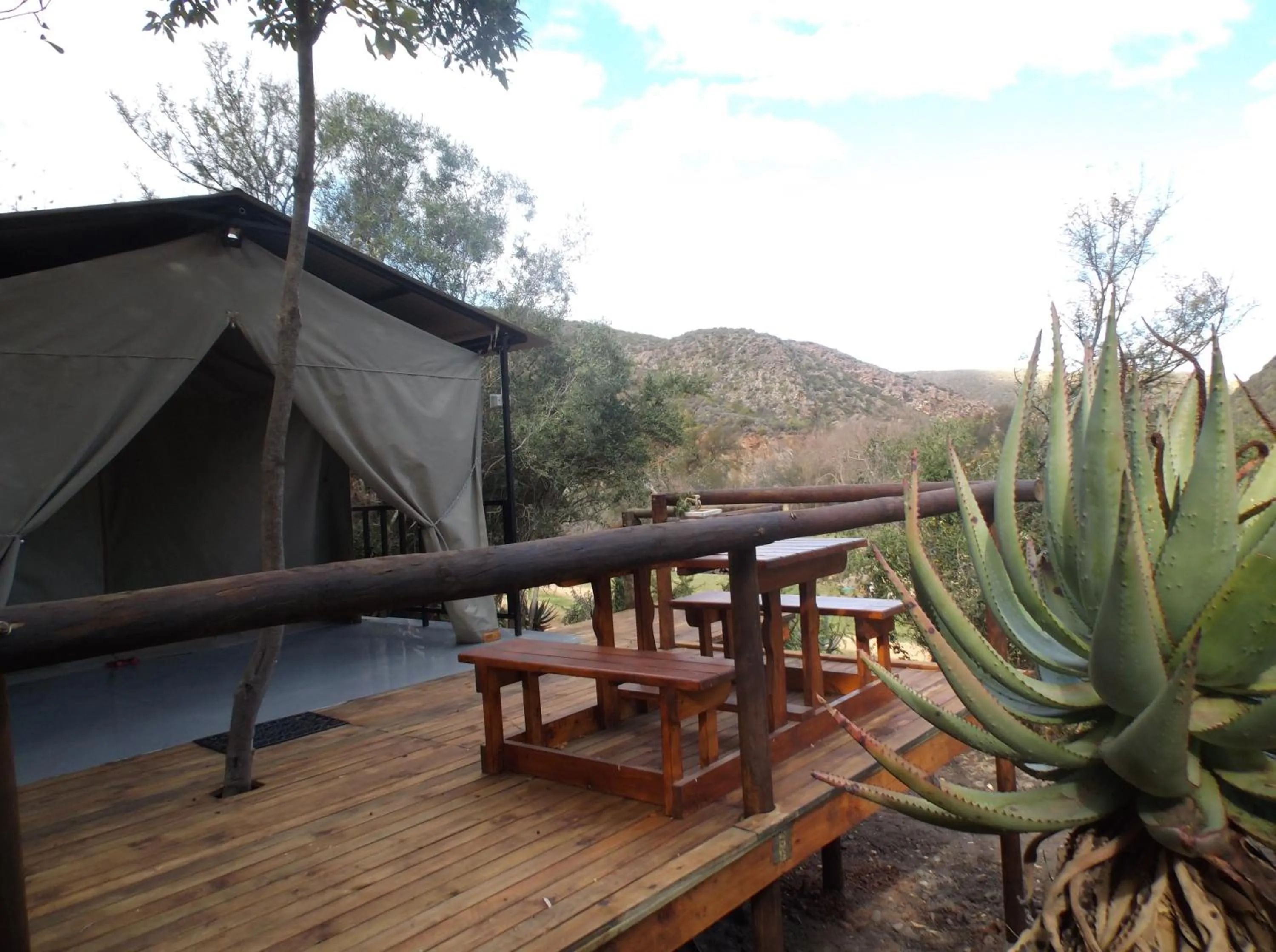 Balcony/Terrace in Old Mill Lodge, Seasonal Working Ostrich Farm & Restaurant, Oudtshoorn