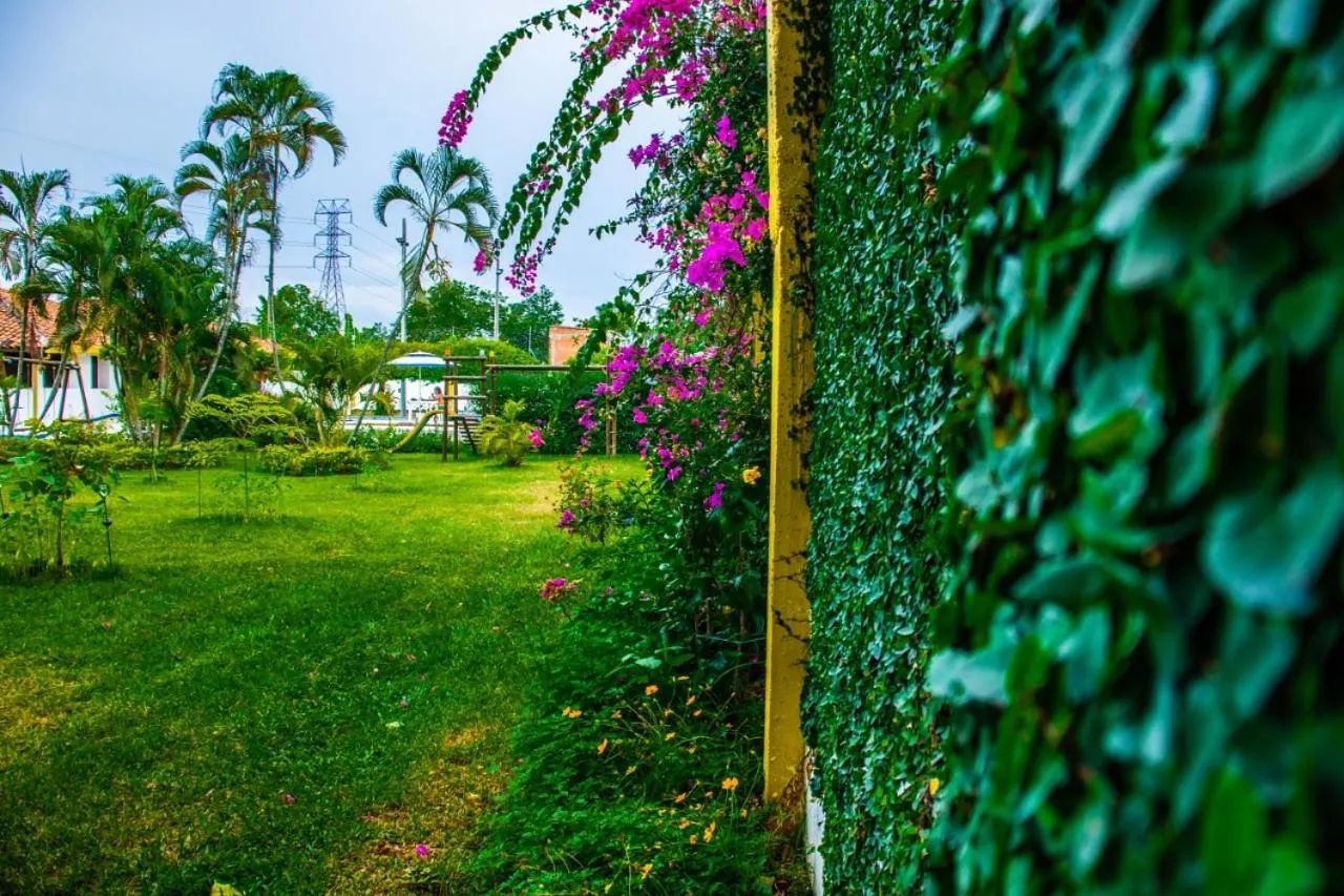 Garden view in Hotel Villa Bosco