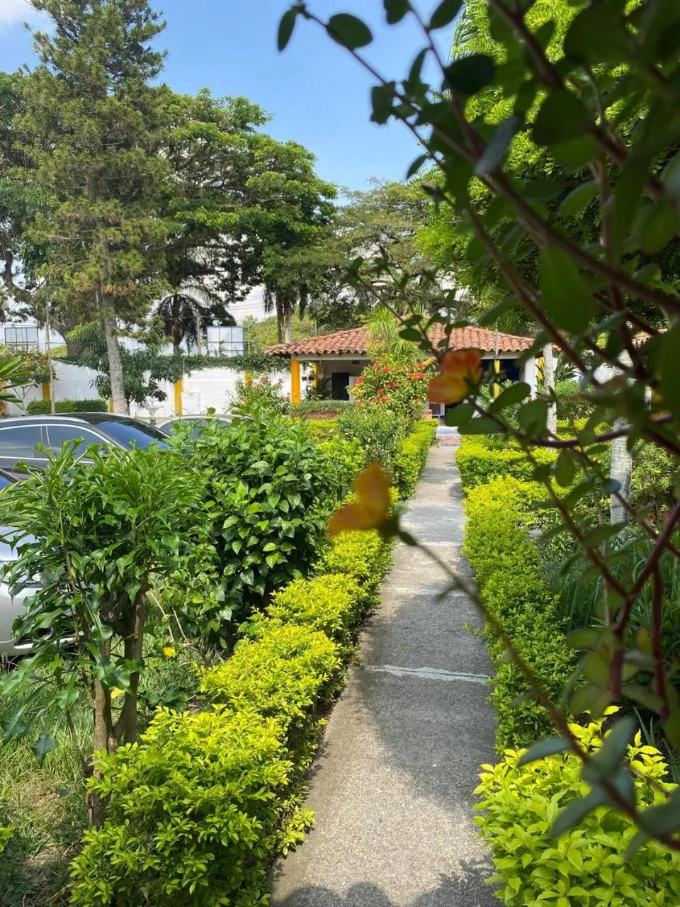Garden view in Hotel Villa Bosco