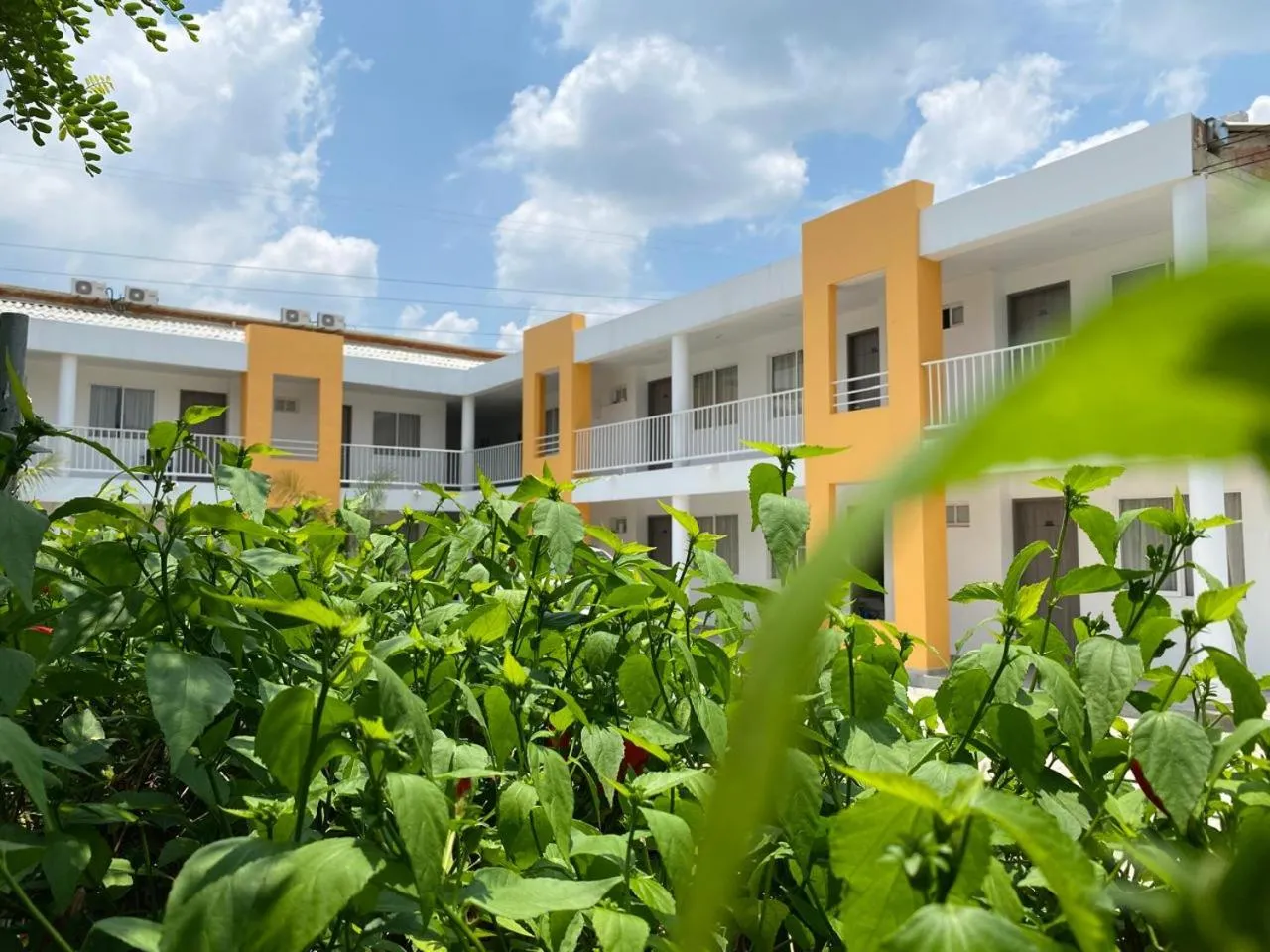 Garden in Hotel Villa Bosco