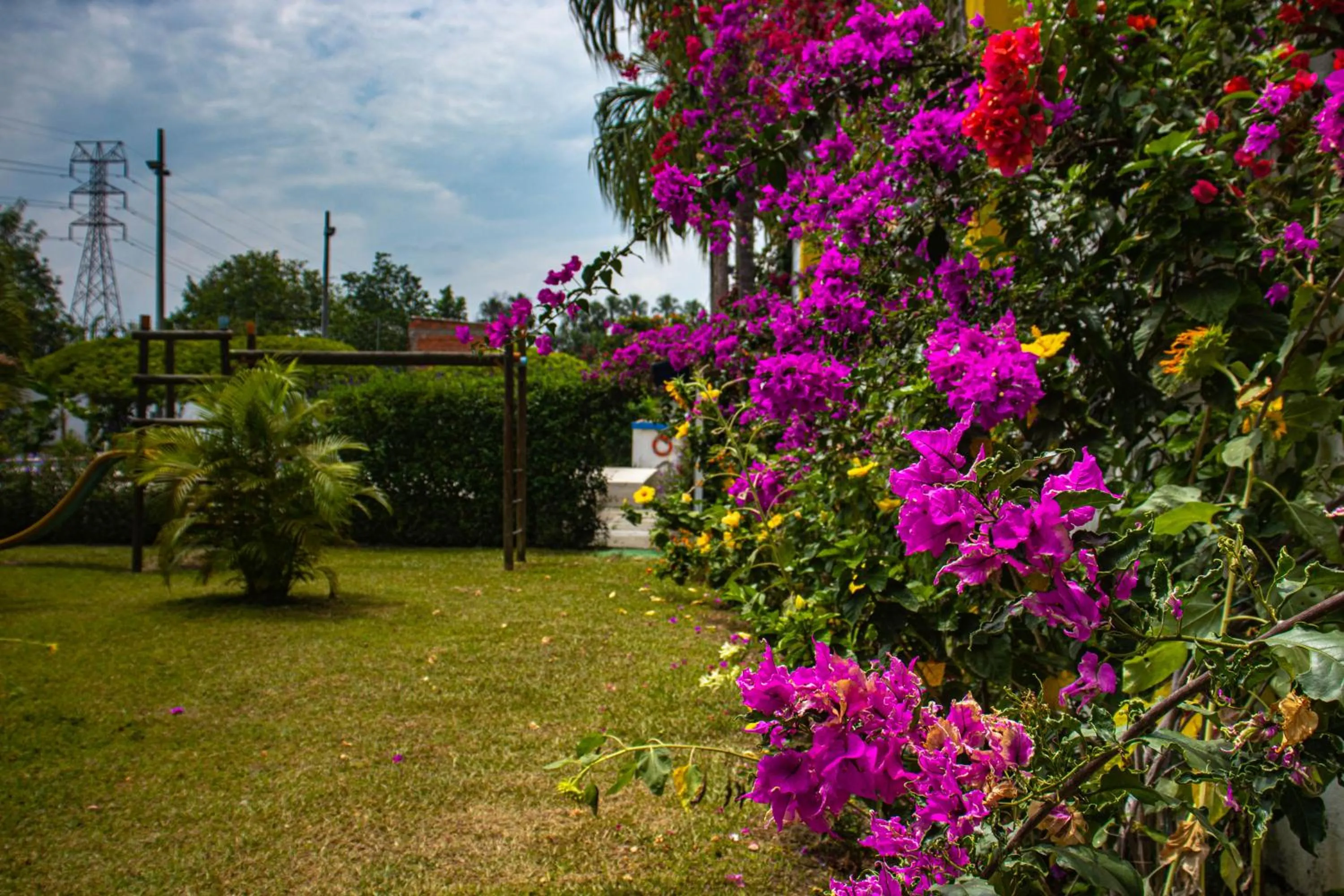 Natural landscape in Hotel Villa Bosco