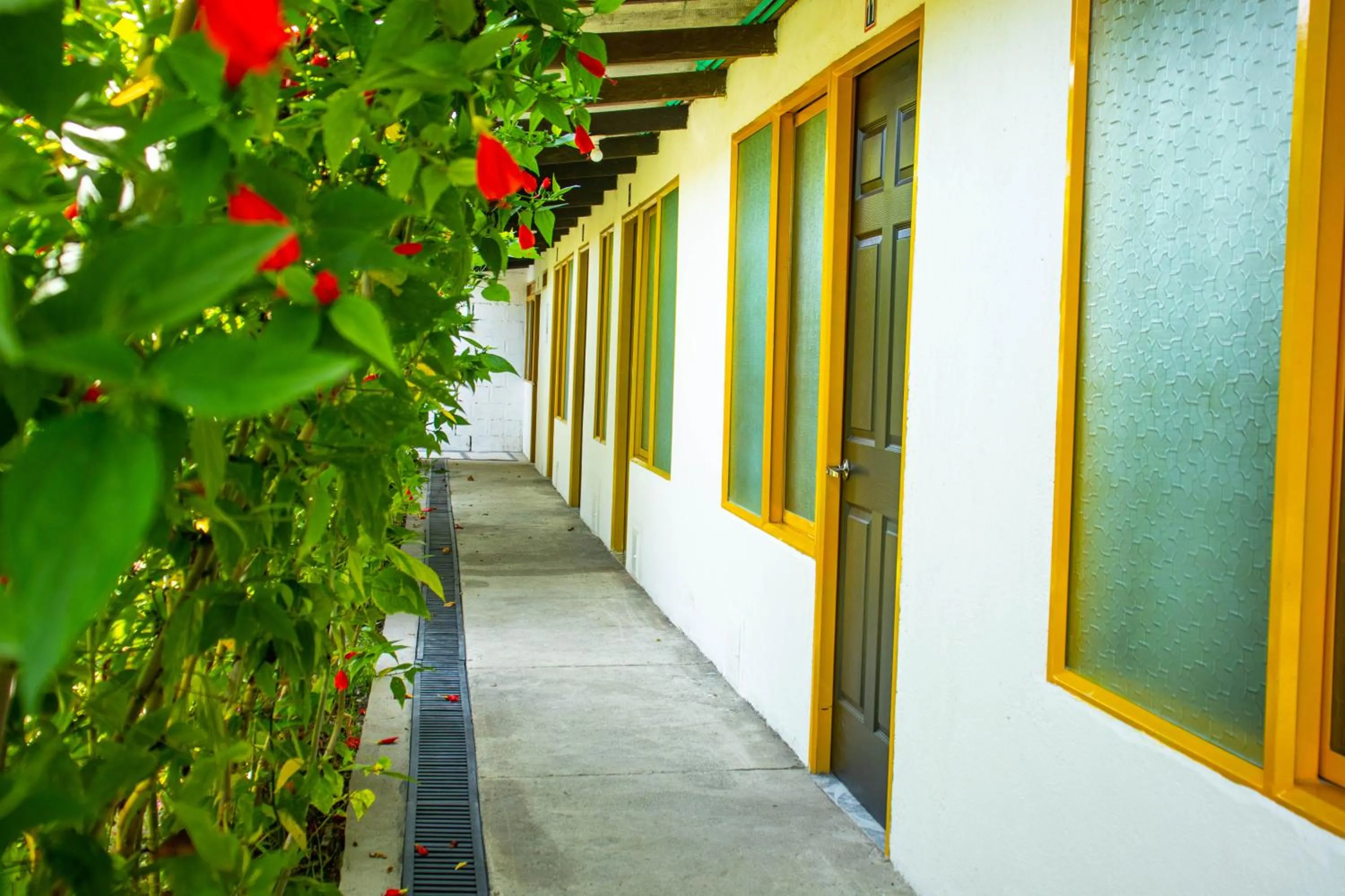 Garden view in Hotel Villa Bosco