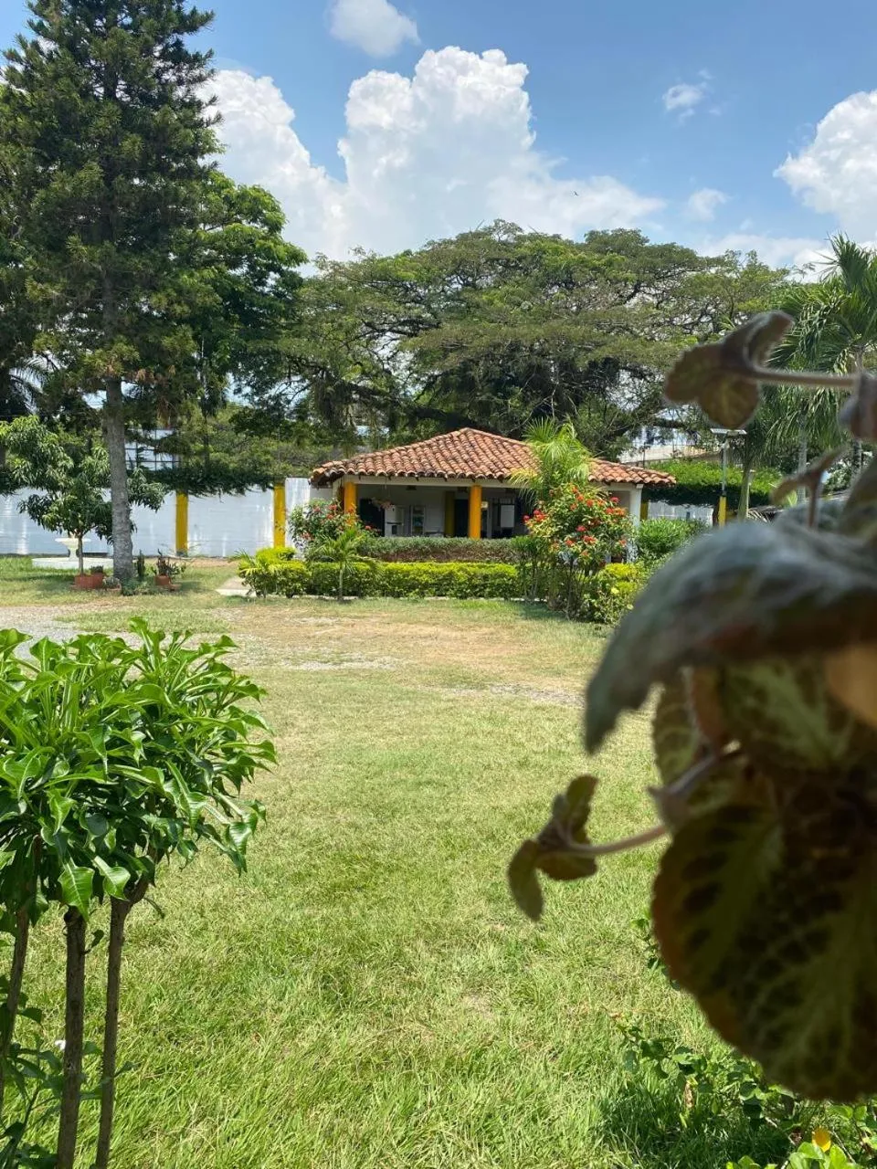 Natural landscape in Hotel Villa Bosco