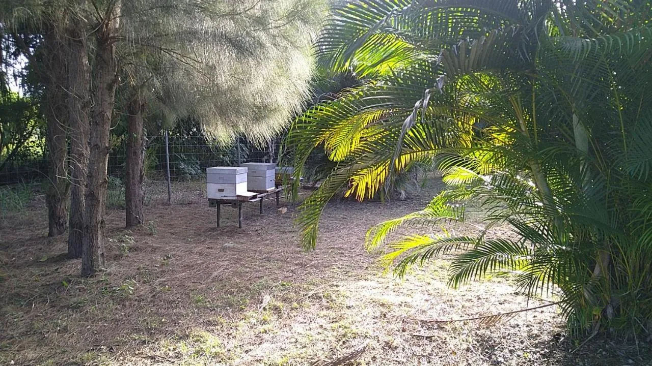 Chez Pascal et Claudia