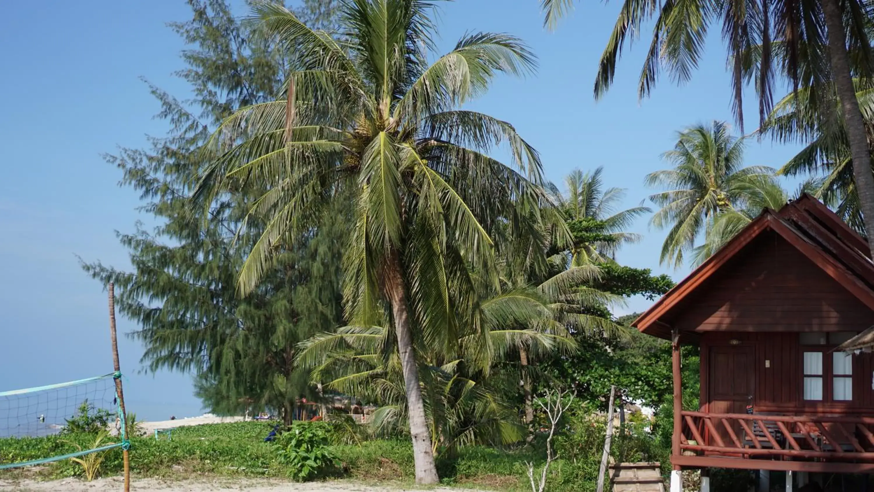 Photo of the whole room in Morning Star Resort Photo of the whole room in Morning Star Resort