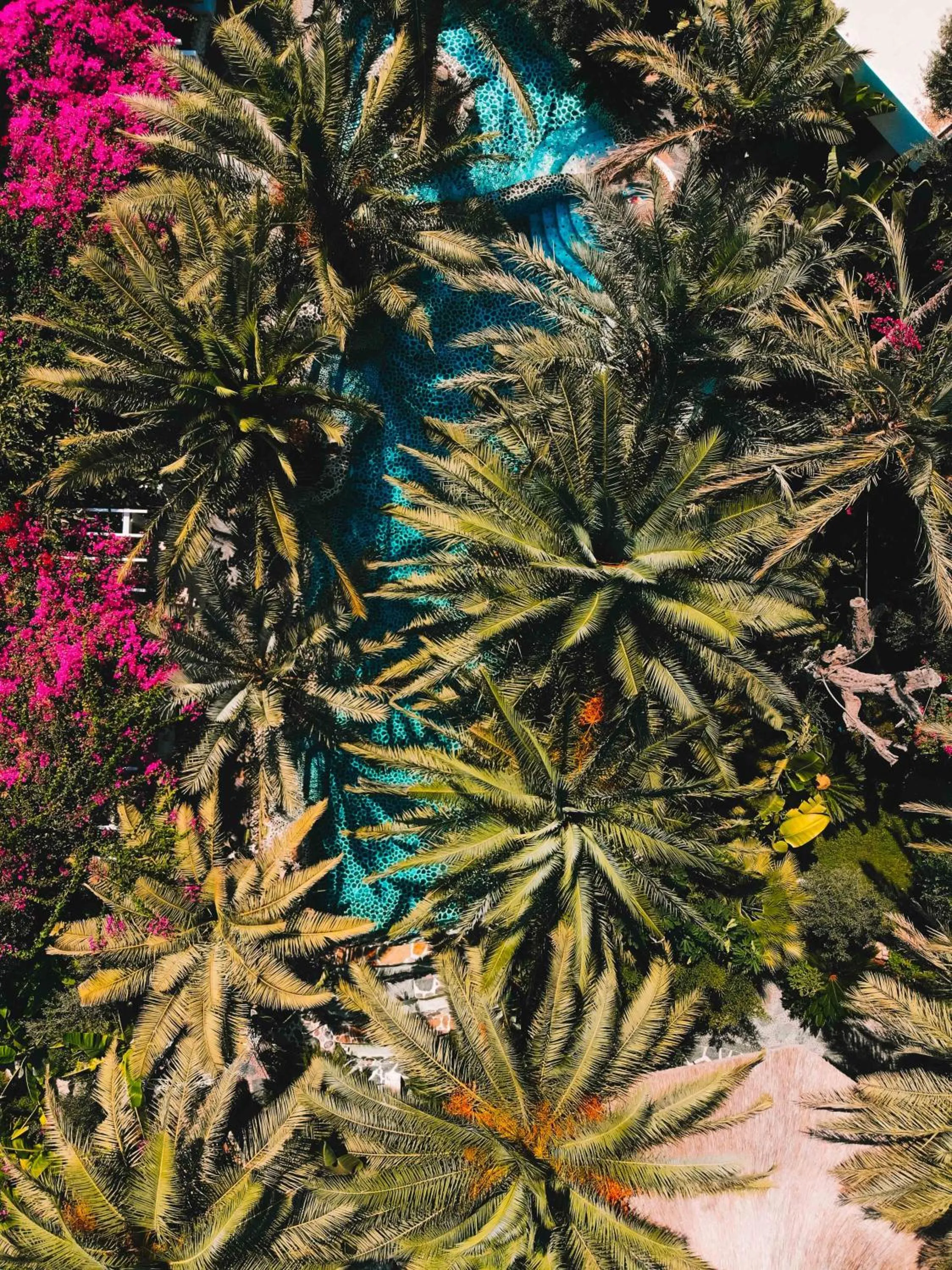 Pool view in Flamingo Hotel & Spa - Pet Friendly