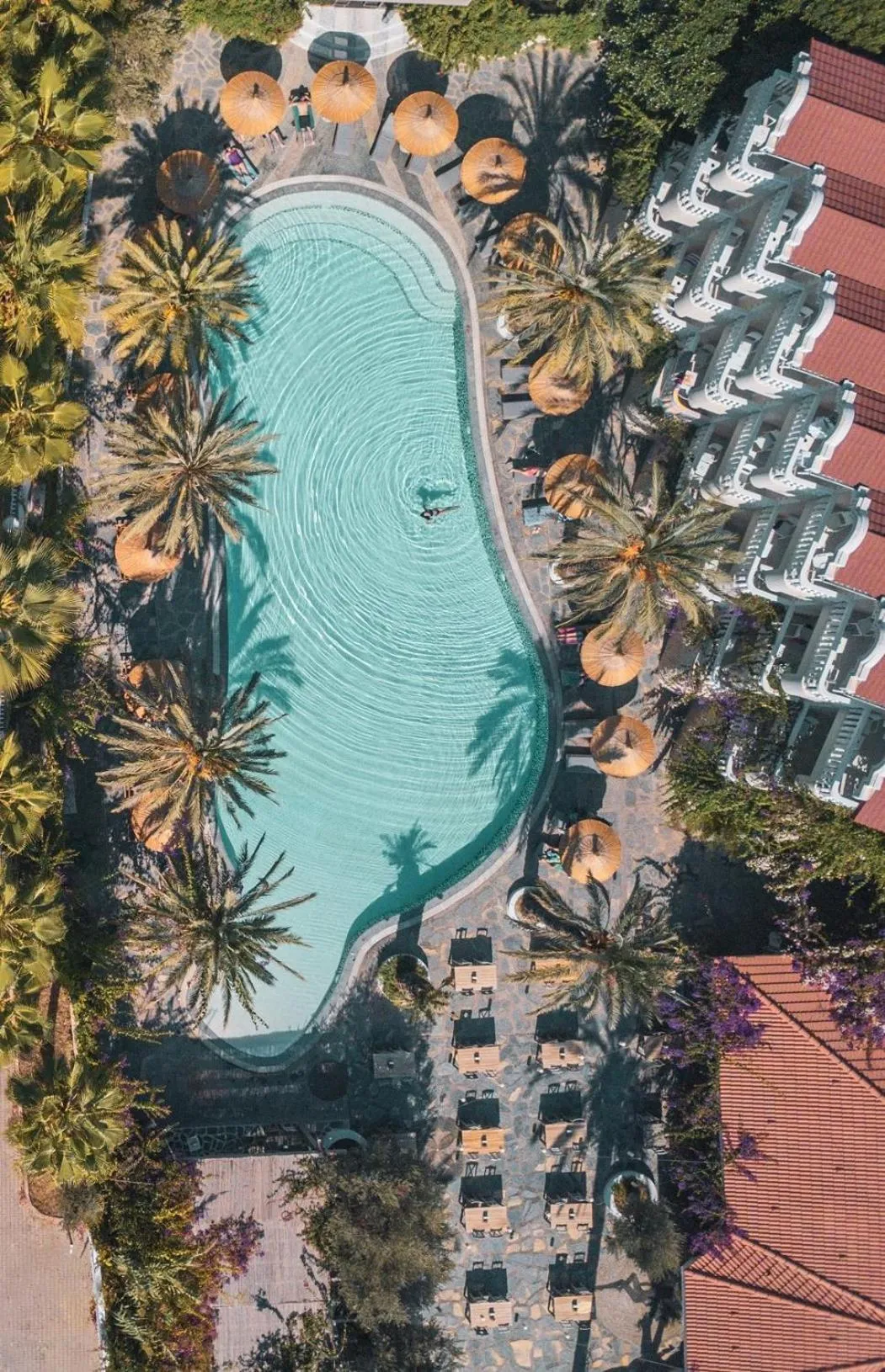 Swimming pool in Flamingo Hotel & Spa - Pet Friendly