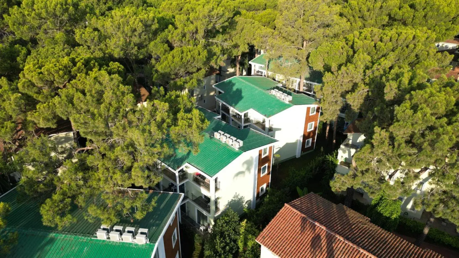 Property building in Crystal Flora Beach Resort - Ultimate All Inclusive Property building in Crystal Flora Beach Resort - Ultimate All Inclusive