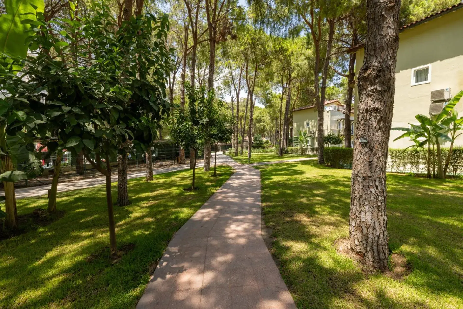 Garden view in Crystal Flora Beach Resort - Ultimate All Inclusive Garden view in Crystal Flora Beach Resort - Ultimate All Inclusive