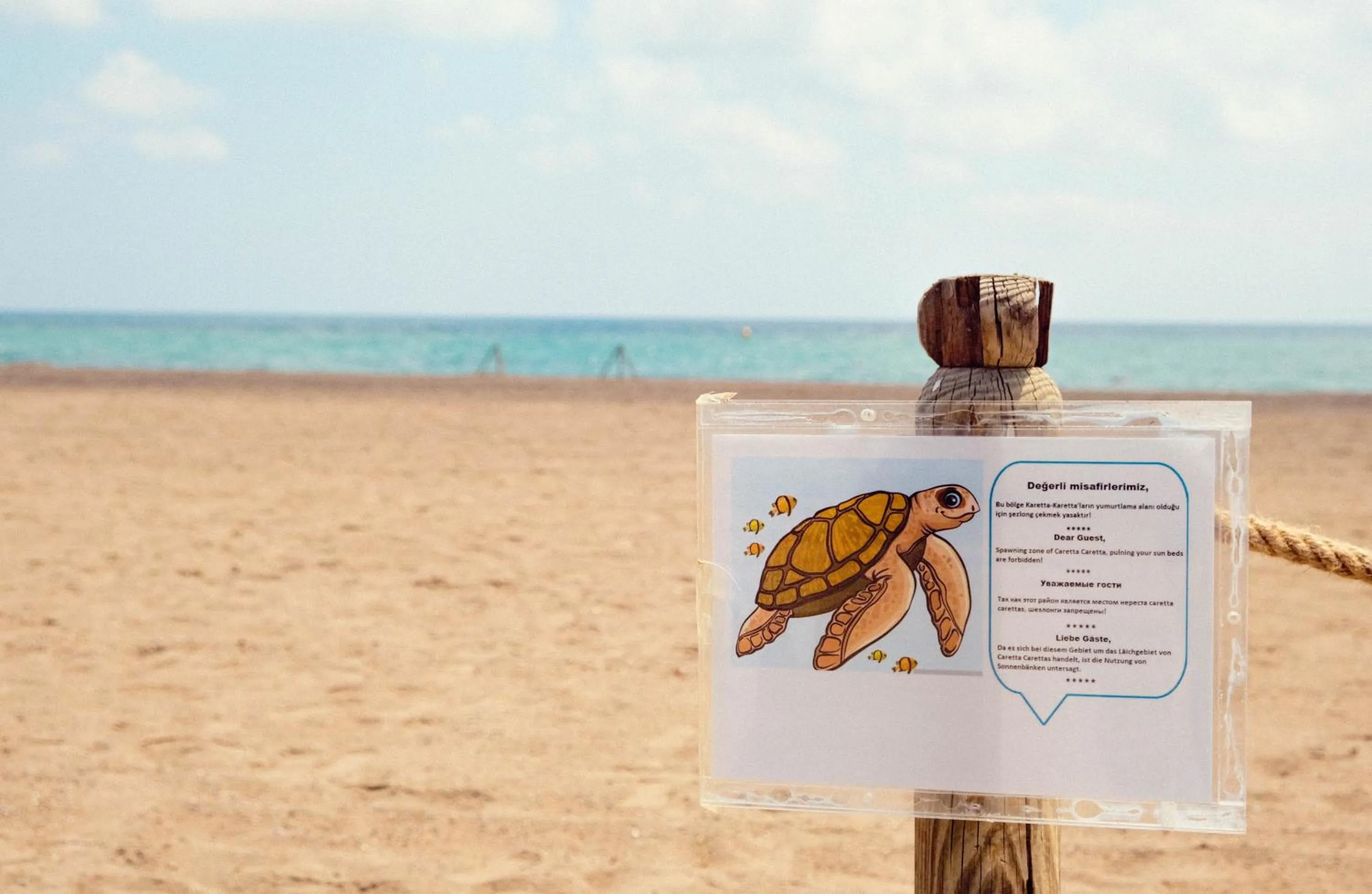 Day in Crystal Paraiso Verde Resort & Spa - Ultimate All Inclusive