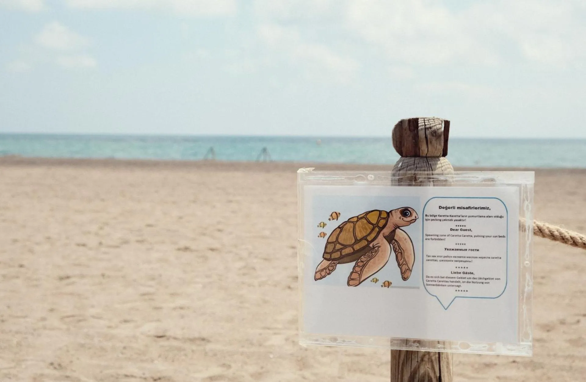 Crystal Paraiso Aqua Collection - Ultimate All Inclusive