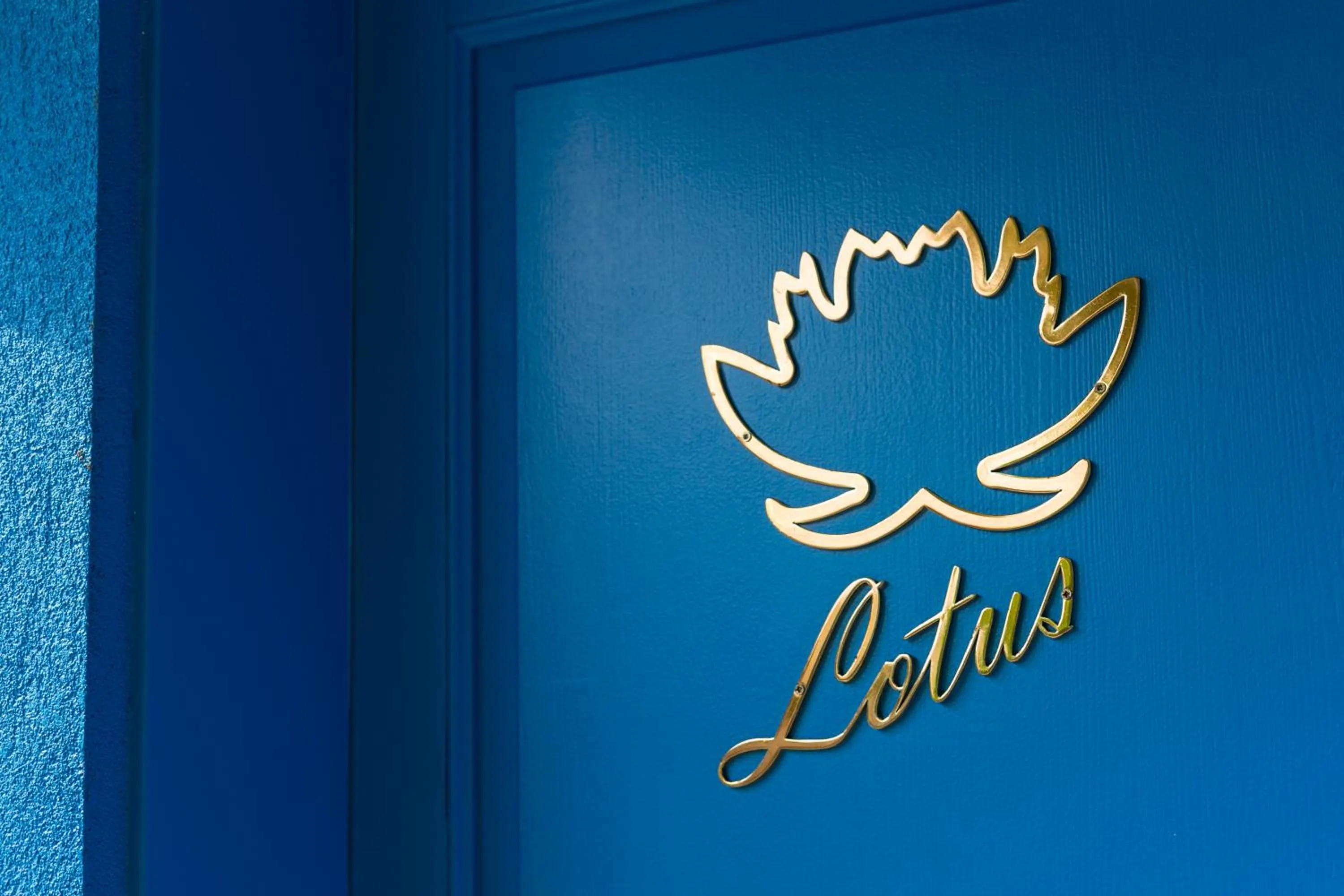 Sabrinas Haus - Adult Only +14