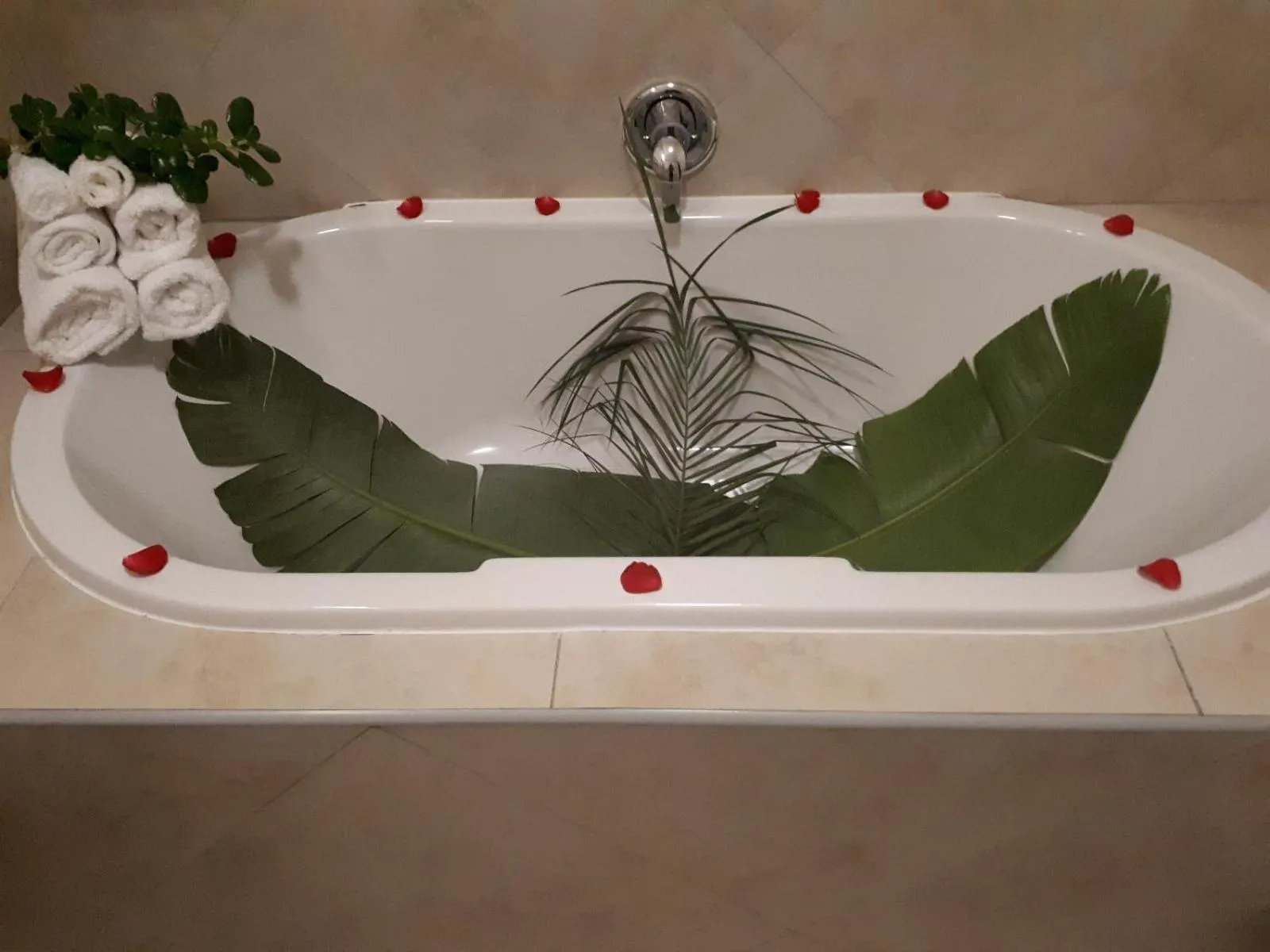 Deluxe Double or Twin Room with Balcony - single occupancy in Eversview Guesthouse
