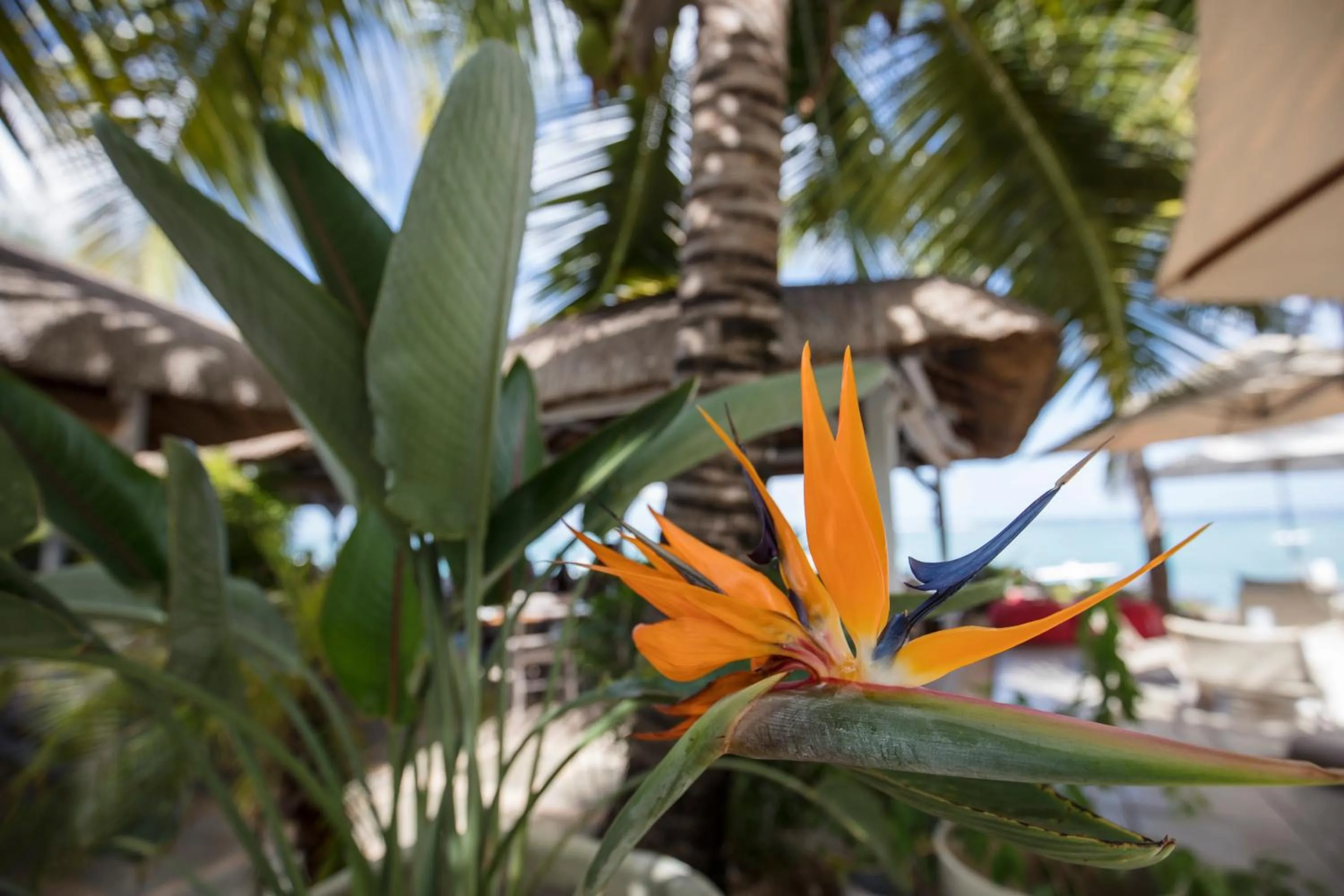 Restaurant/places to eat in The Bay