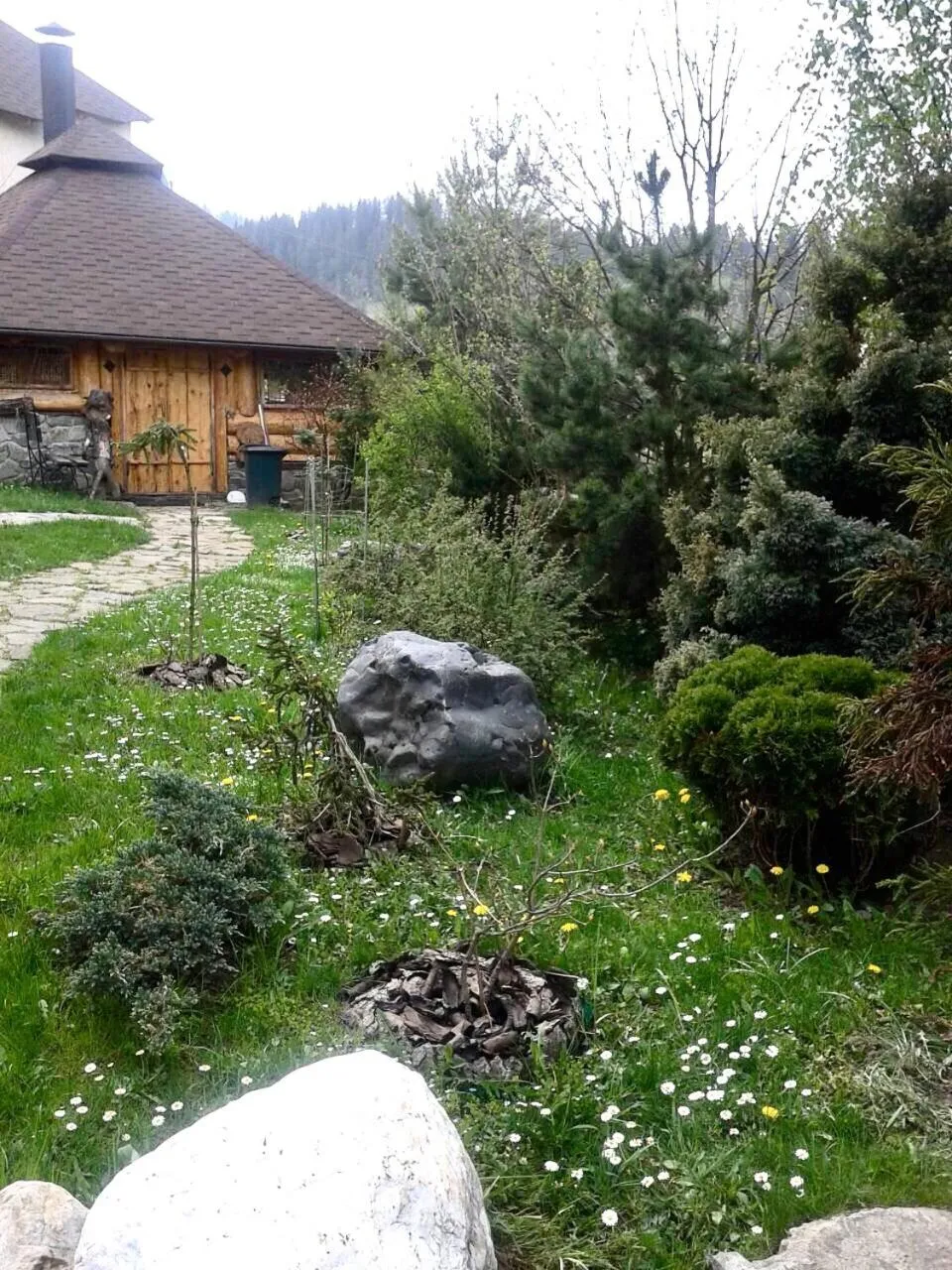 BBQ facilities in Sadyba Anastasia