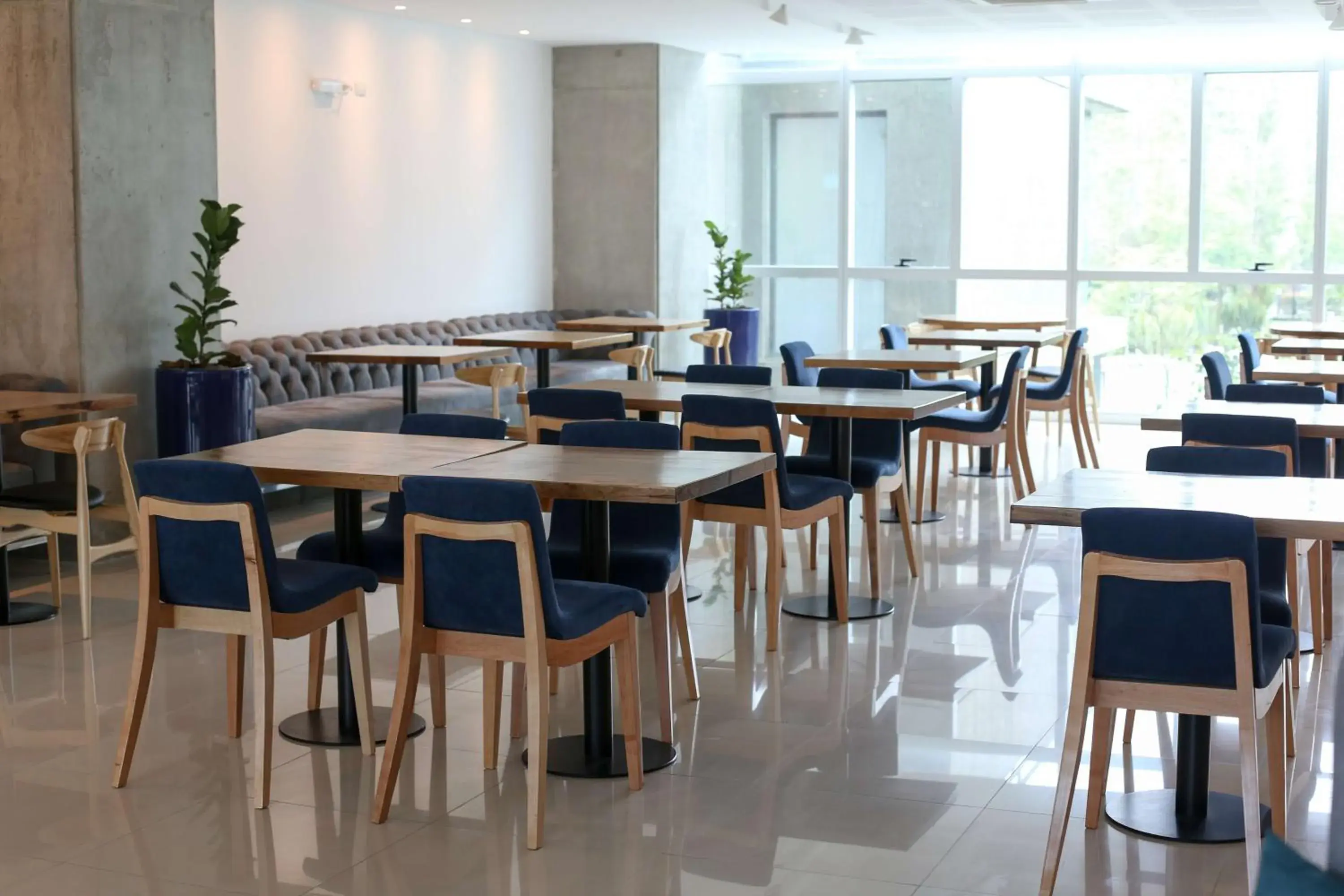 Restaurant/places to eat in Dazzler by Wyndham Rosario Restaurant/places to eat in Dazzler by Wyndham Rosario