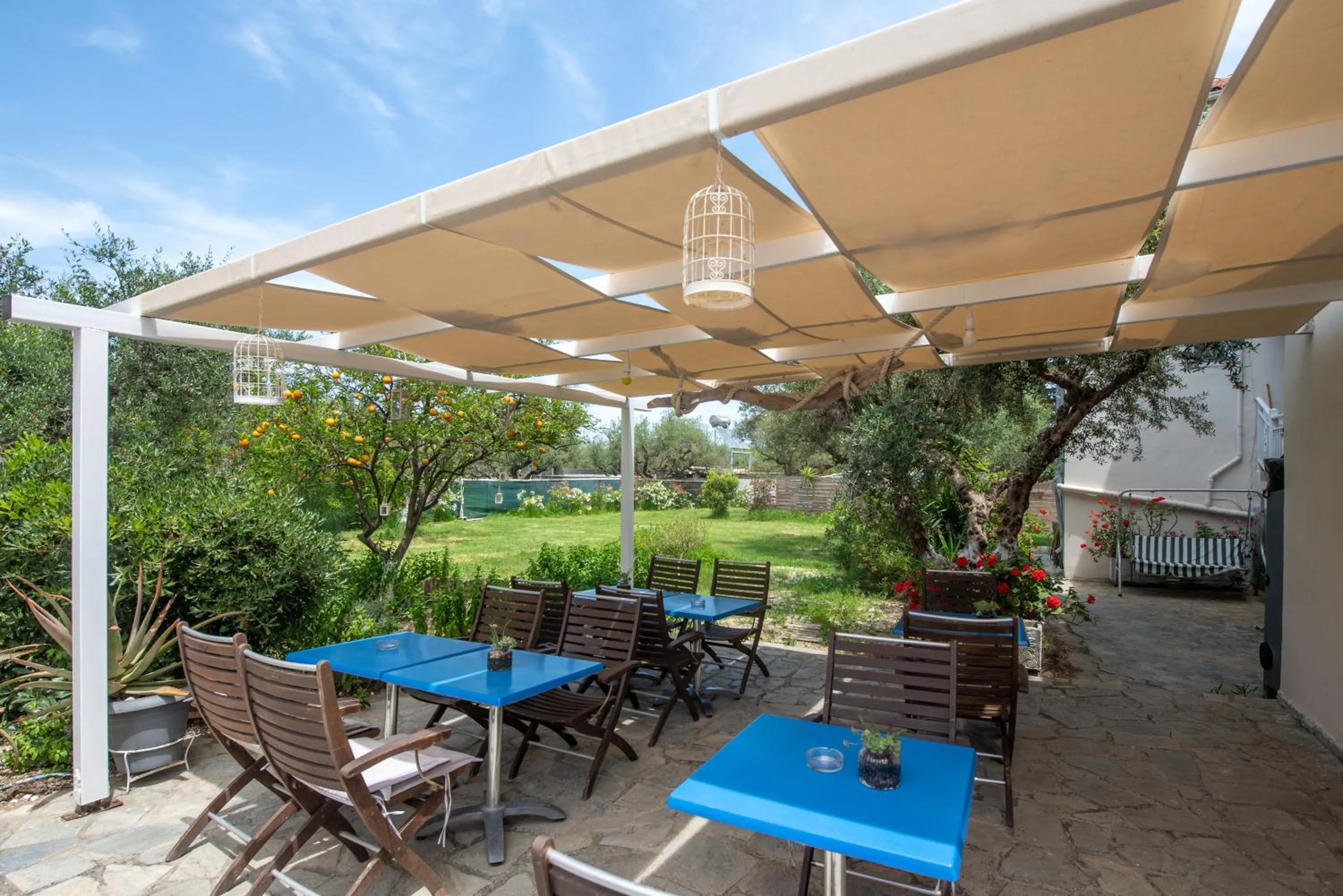 Garden in Tsolakis Studios & Apartments