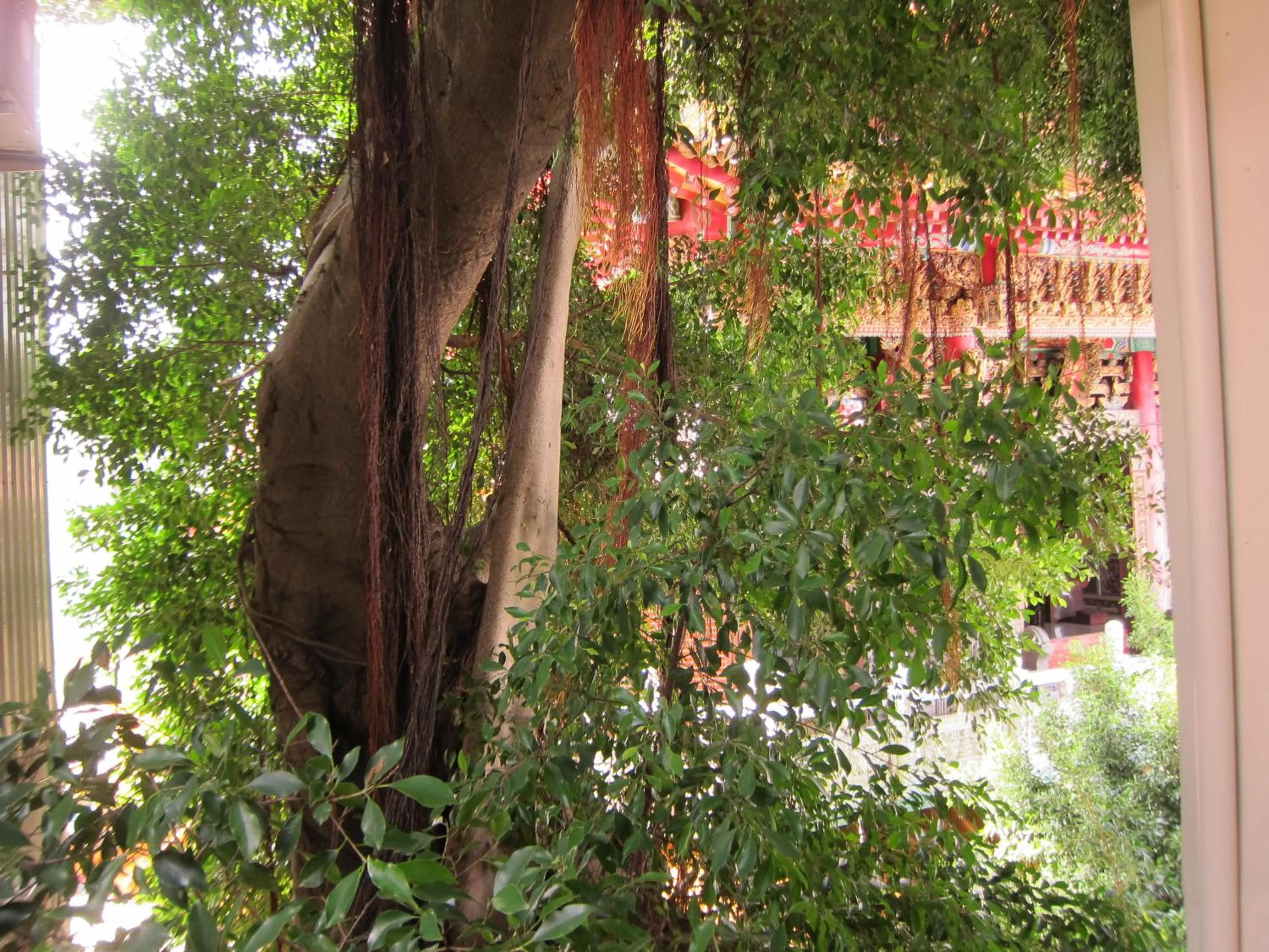 Natural landscape in Shennong 147