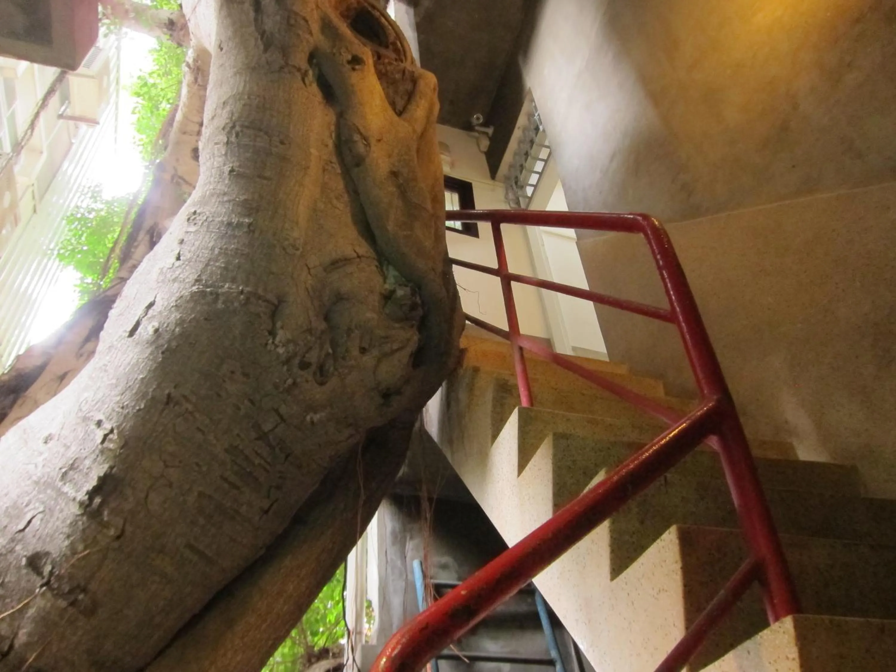 Natural landscape in Shennong 147