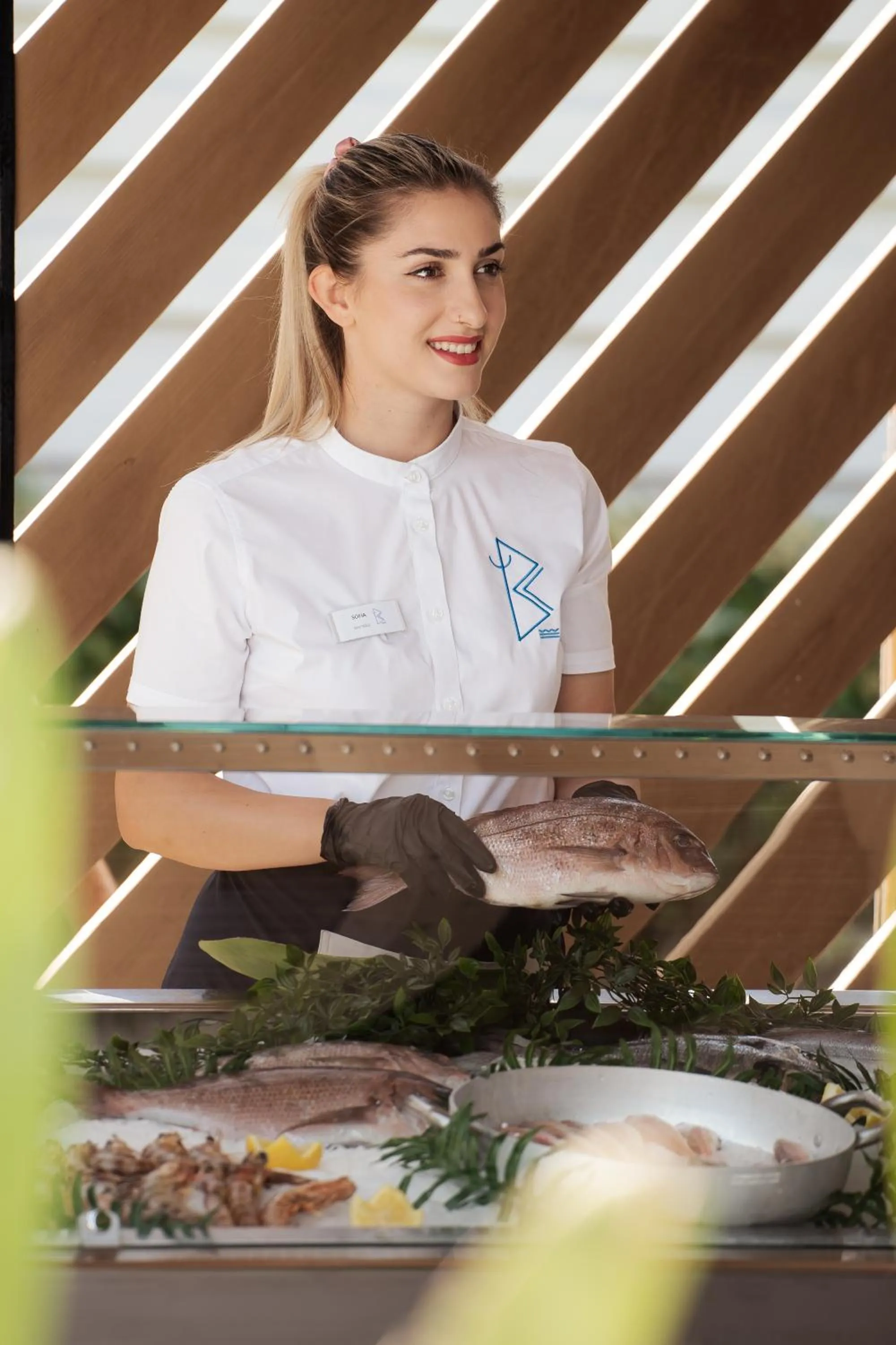 Blue Carpet Luxury Suites