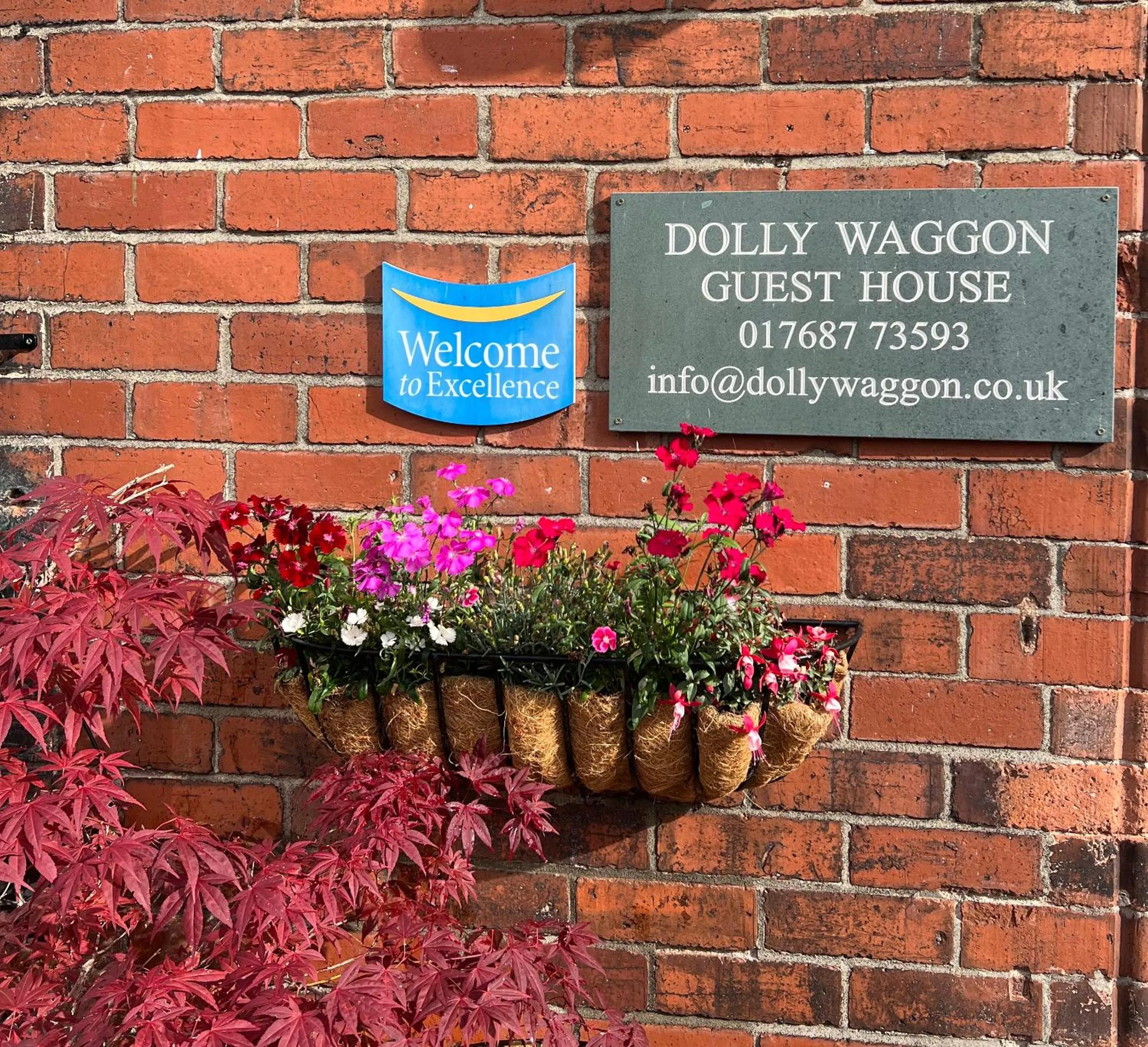 Dolly Waggon Guest House