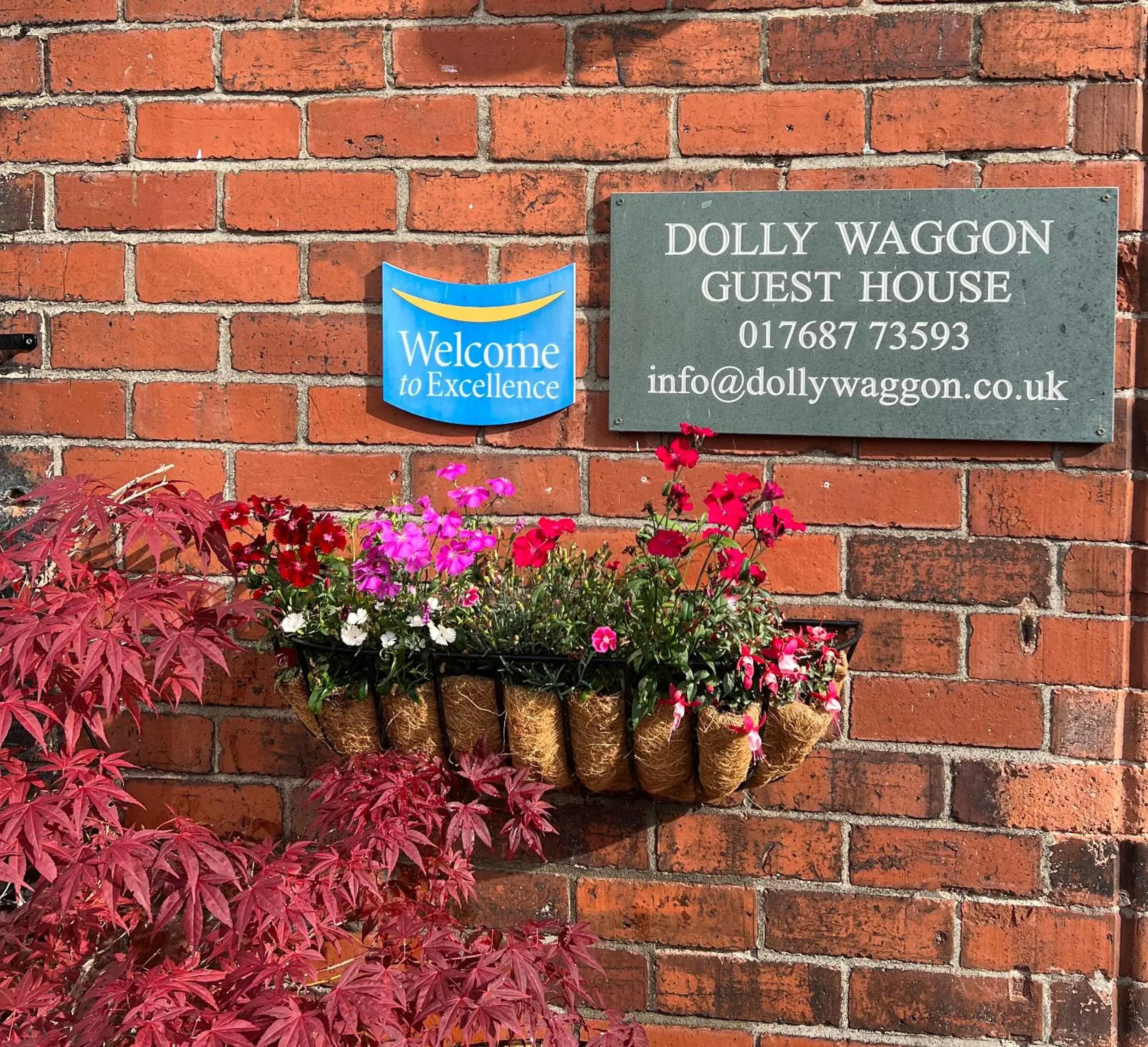 Dolly Waggon Guest House Dolly Waggon Guest House