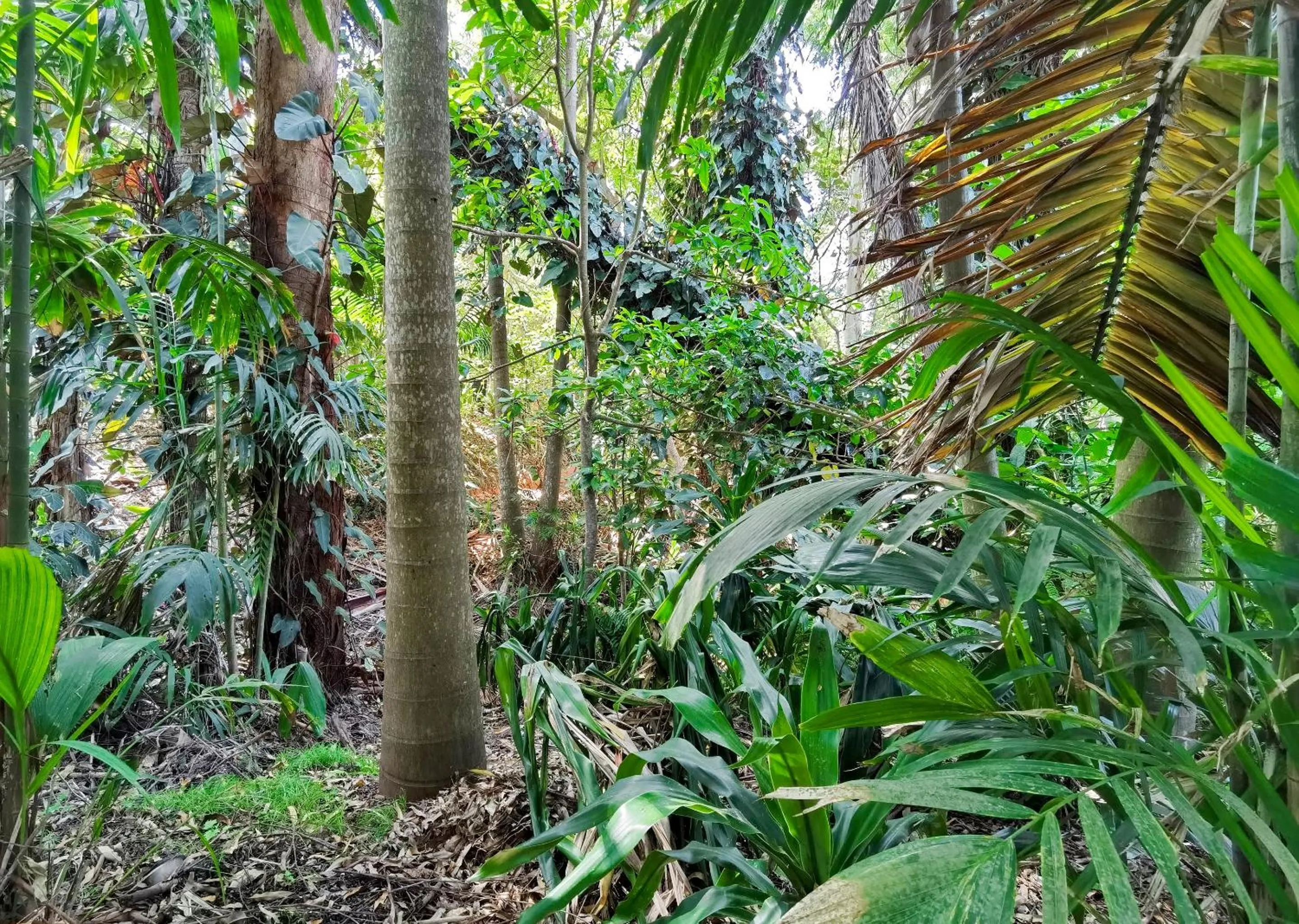 Spring in Zimbali Lodge by Dream Resorts