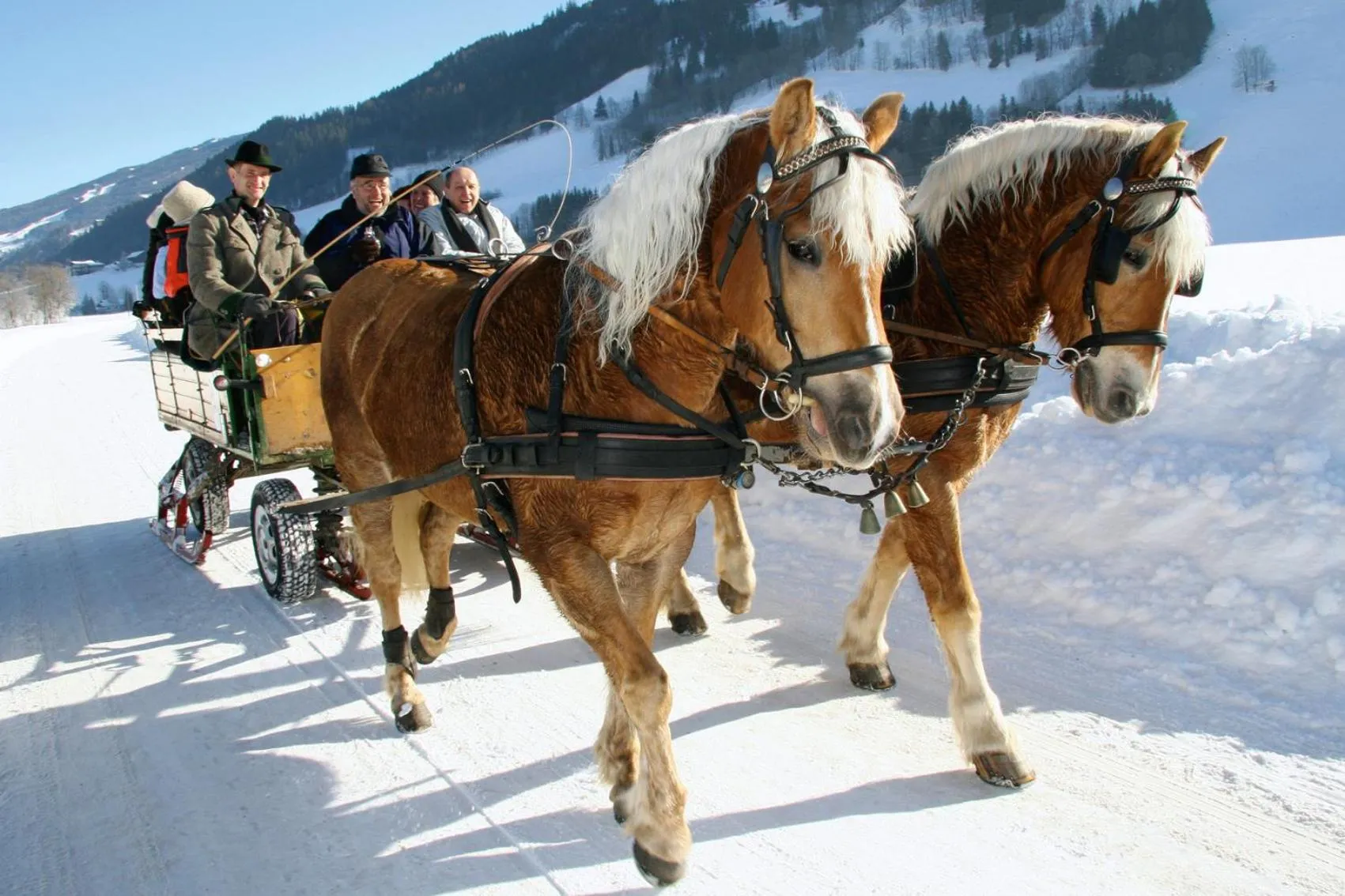 Horse-riding in Aparthotel Schloss Thannegg