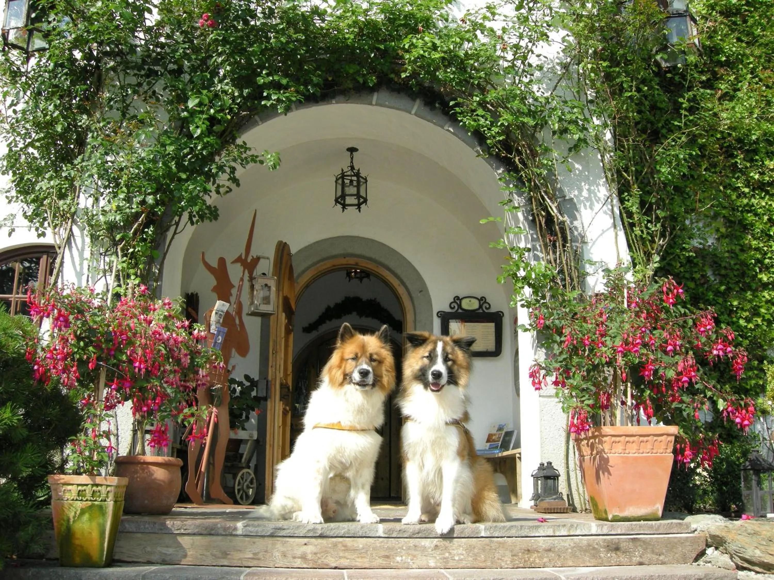 Pets in Aparthotel Schloss Thannegg