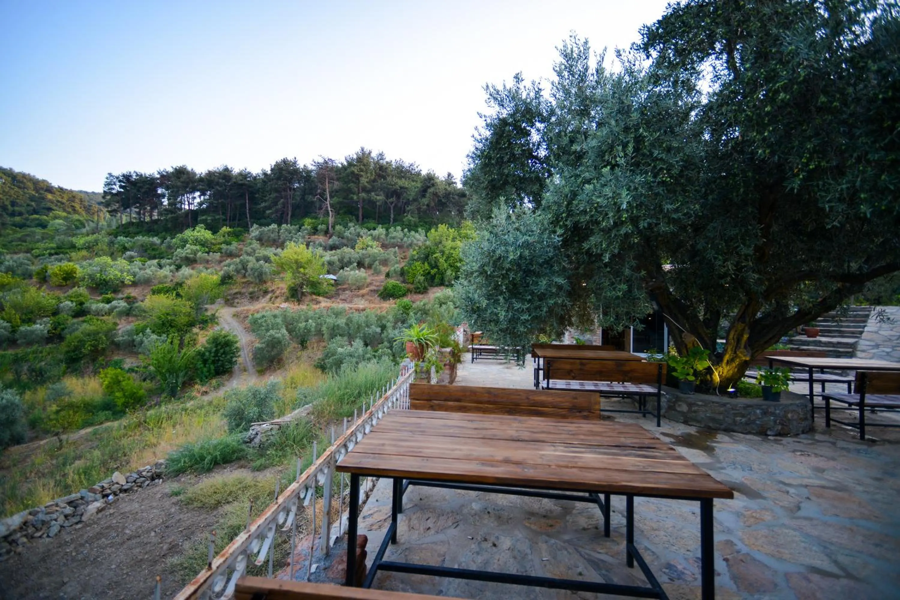 Garden view in Kirkinca Hotel