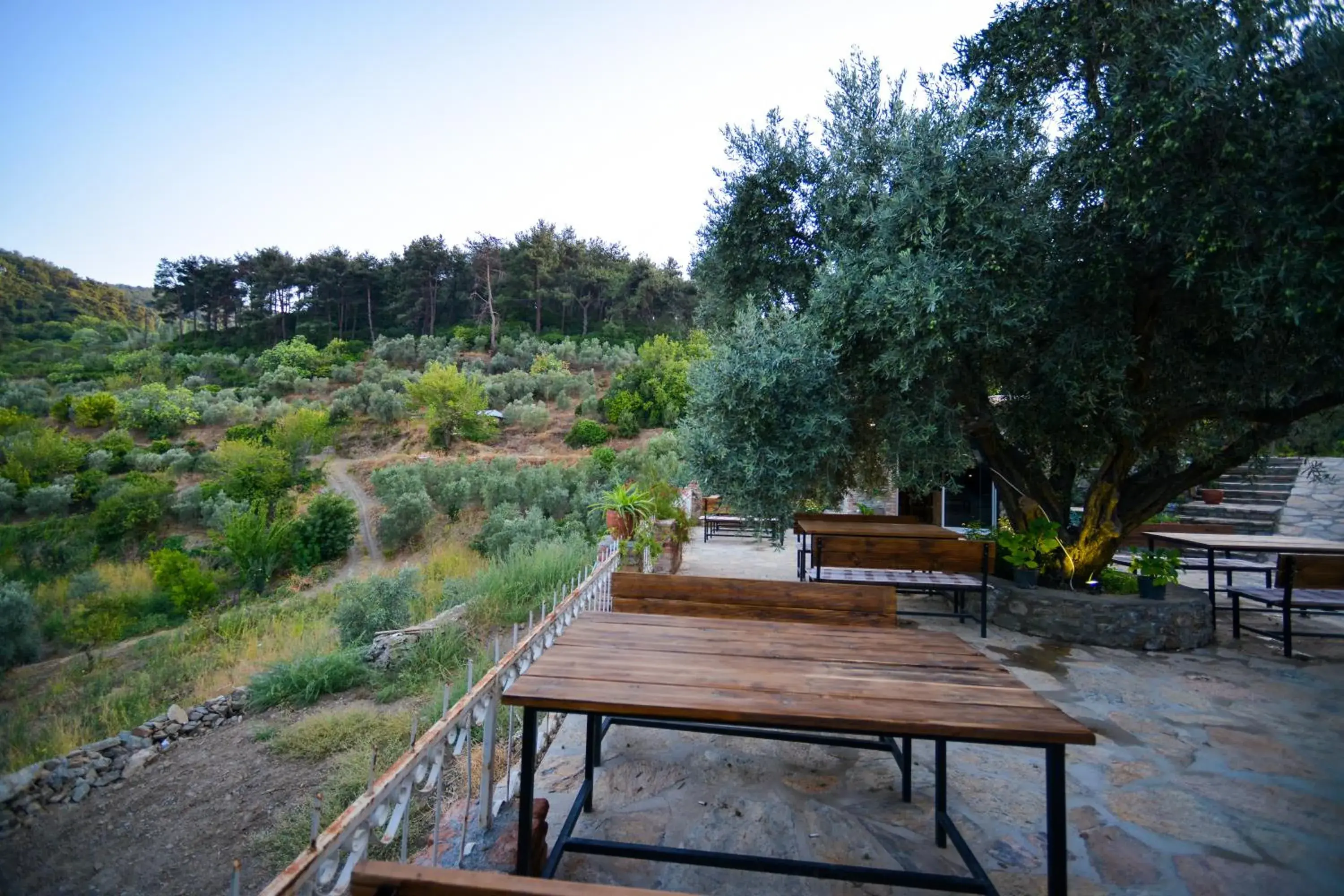 Garden view in Kirkinca Hotel Garden view in Kirkinca Hotel