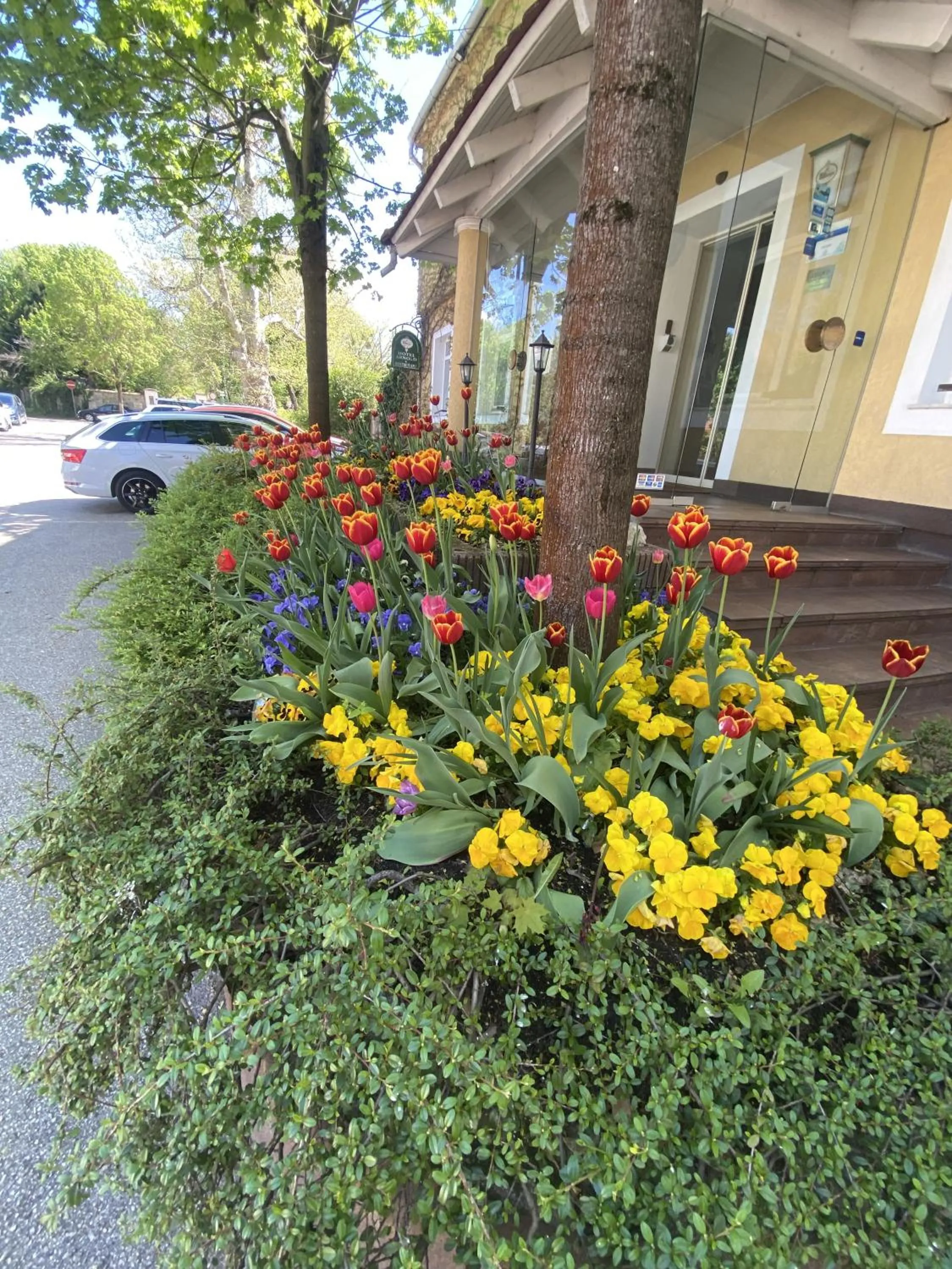 Property building in Hotel Arnold