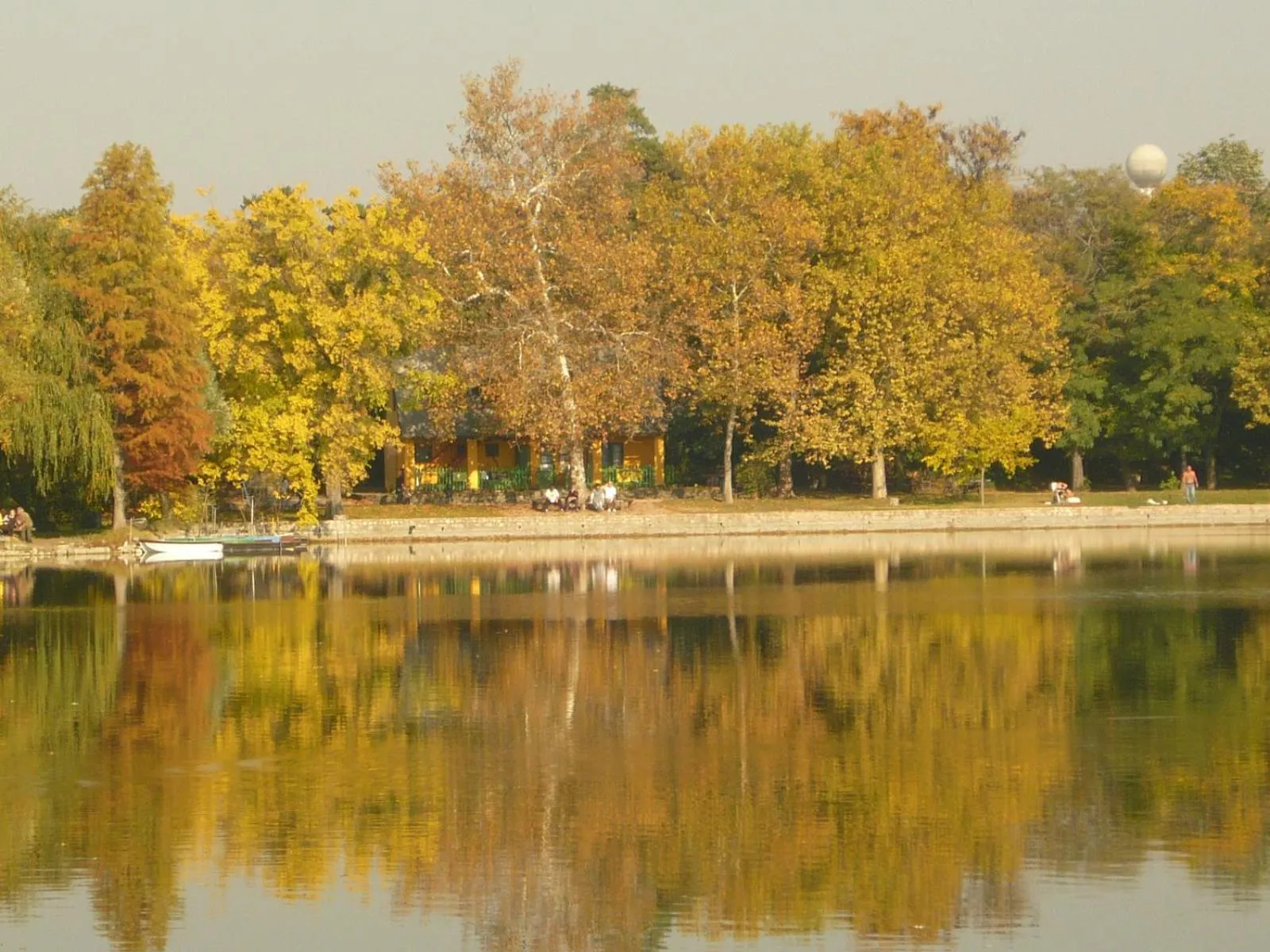 Fishing in Hotel Arnold